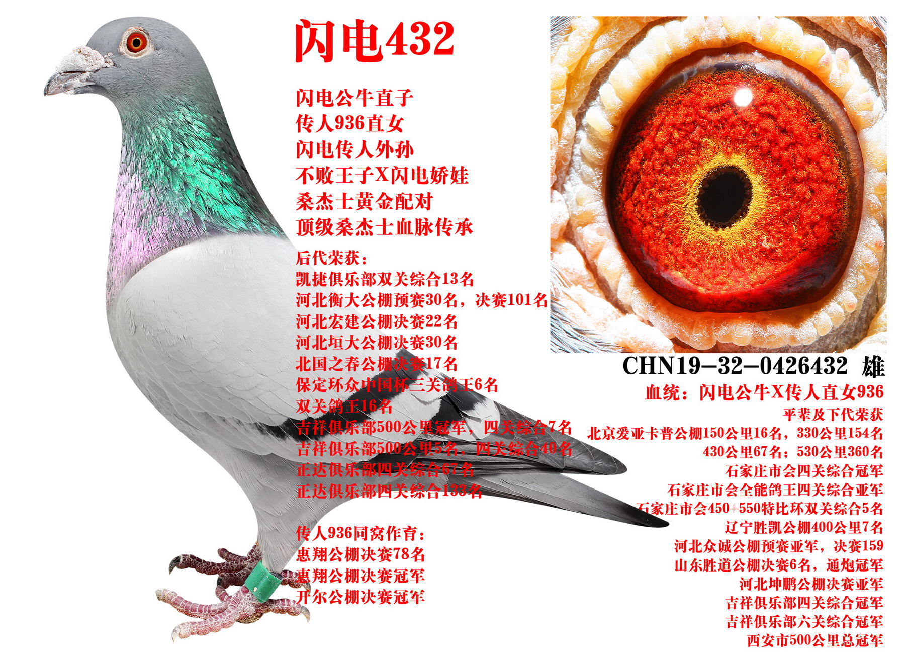 ɣ��ʿ ����432