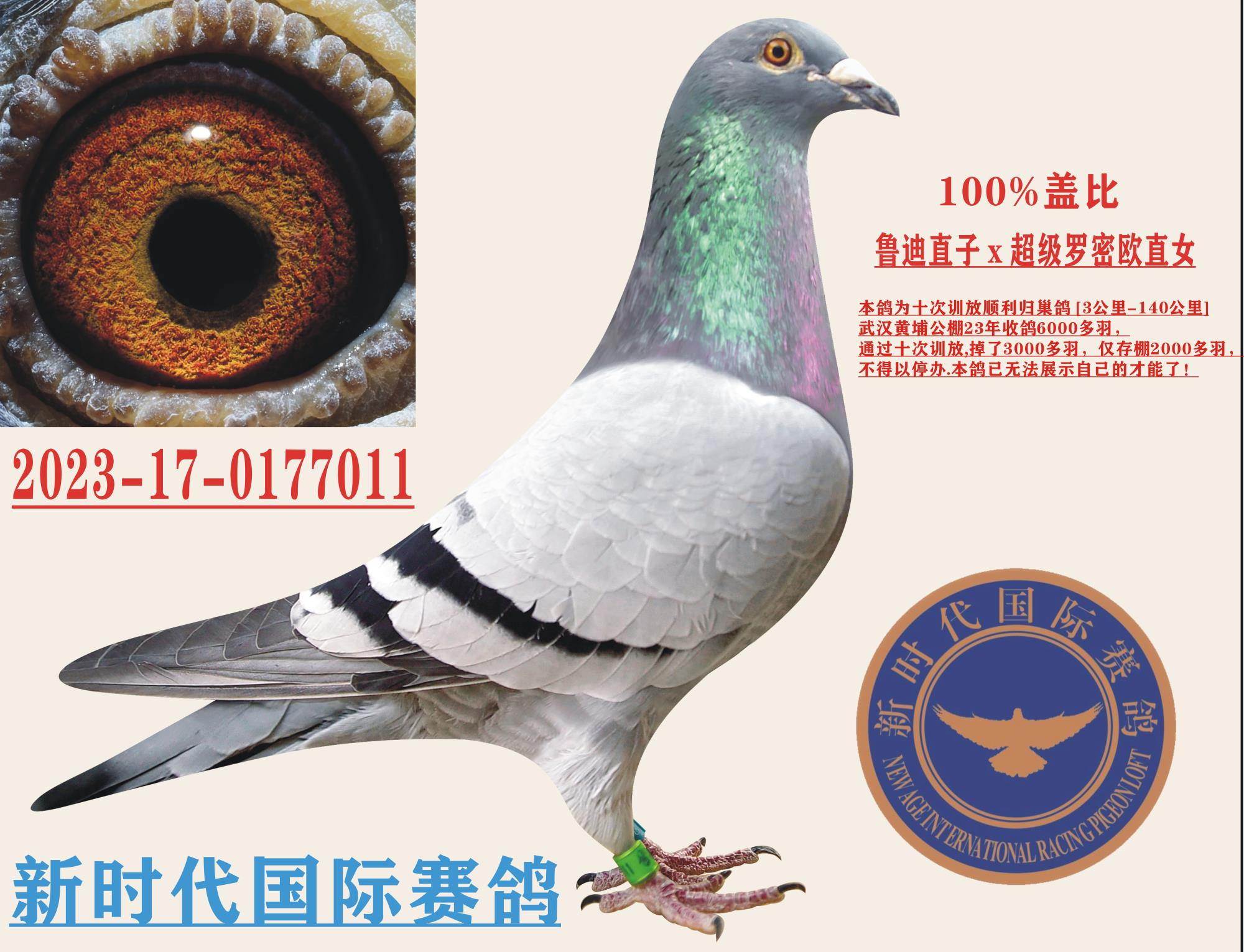 �Ǳȡ�³�ϡ�ֱ��x����������ŷ��ֱŮ