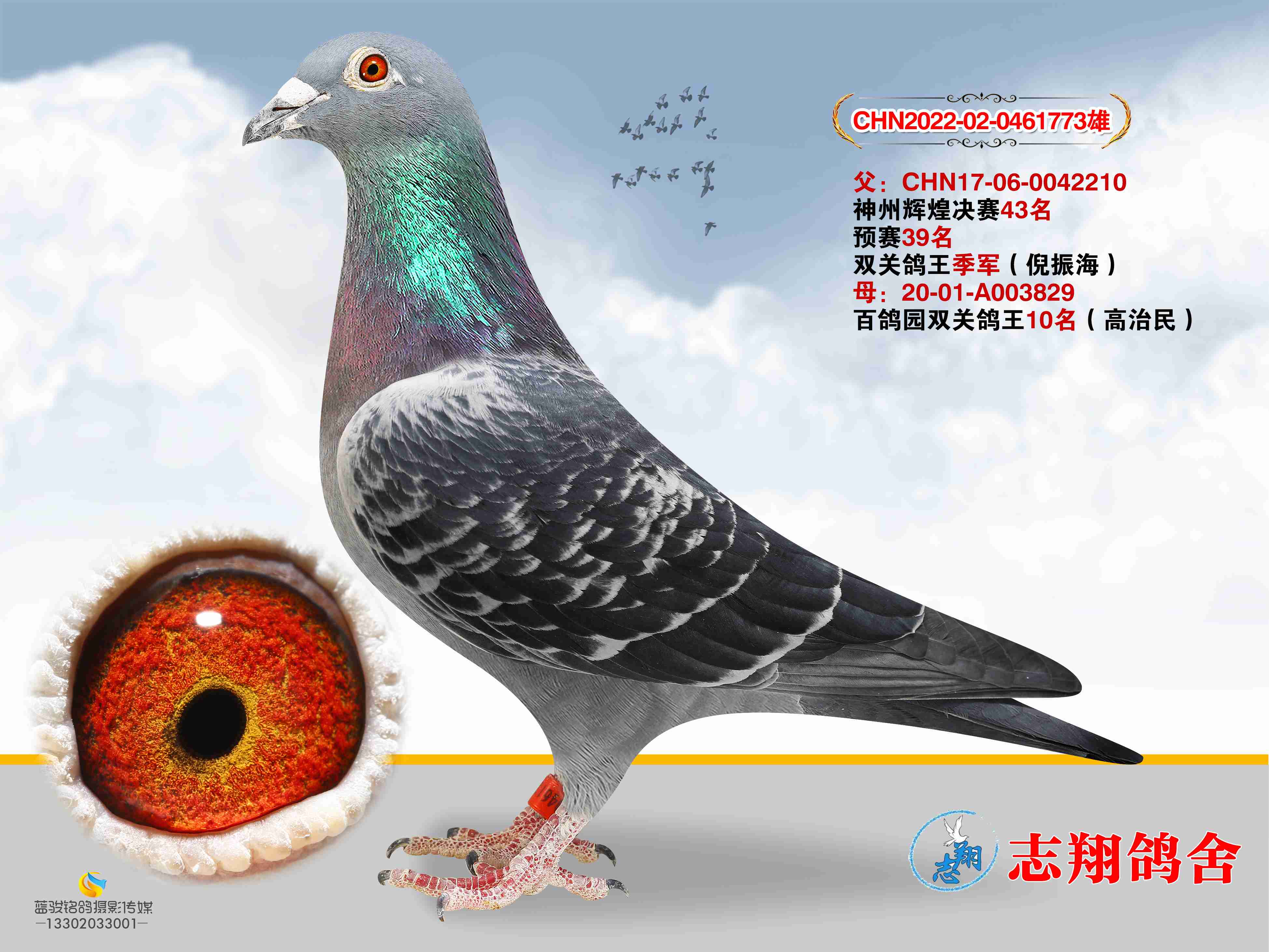 ���ݸ���ֱ��