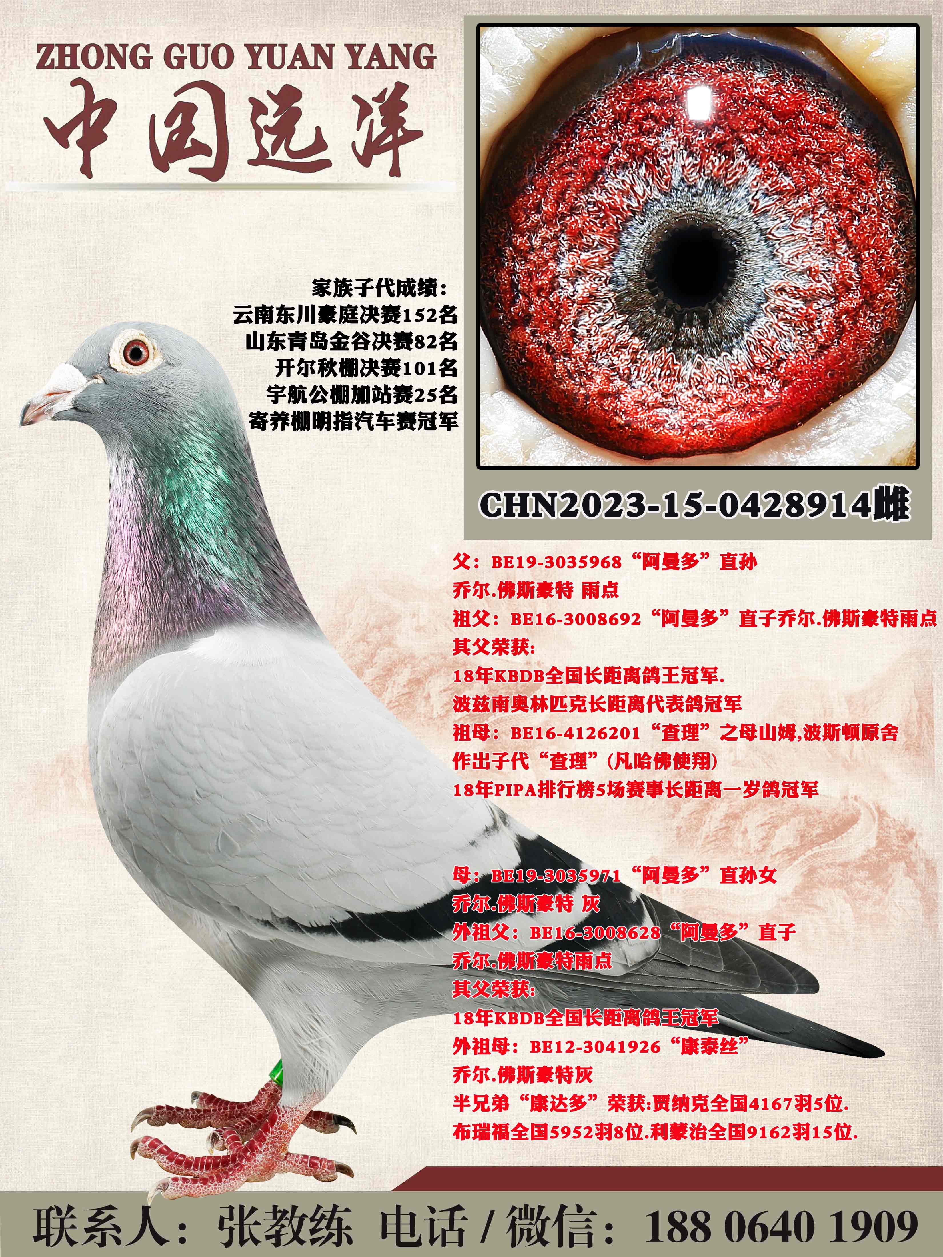 ���겻���ɼ�����