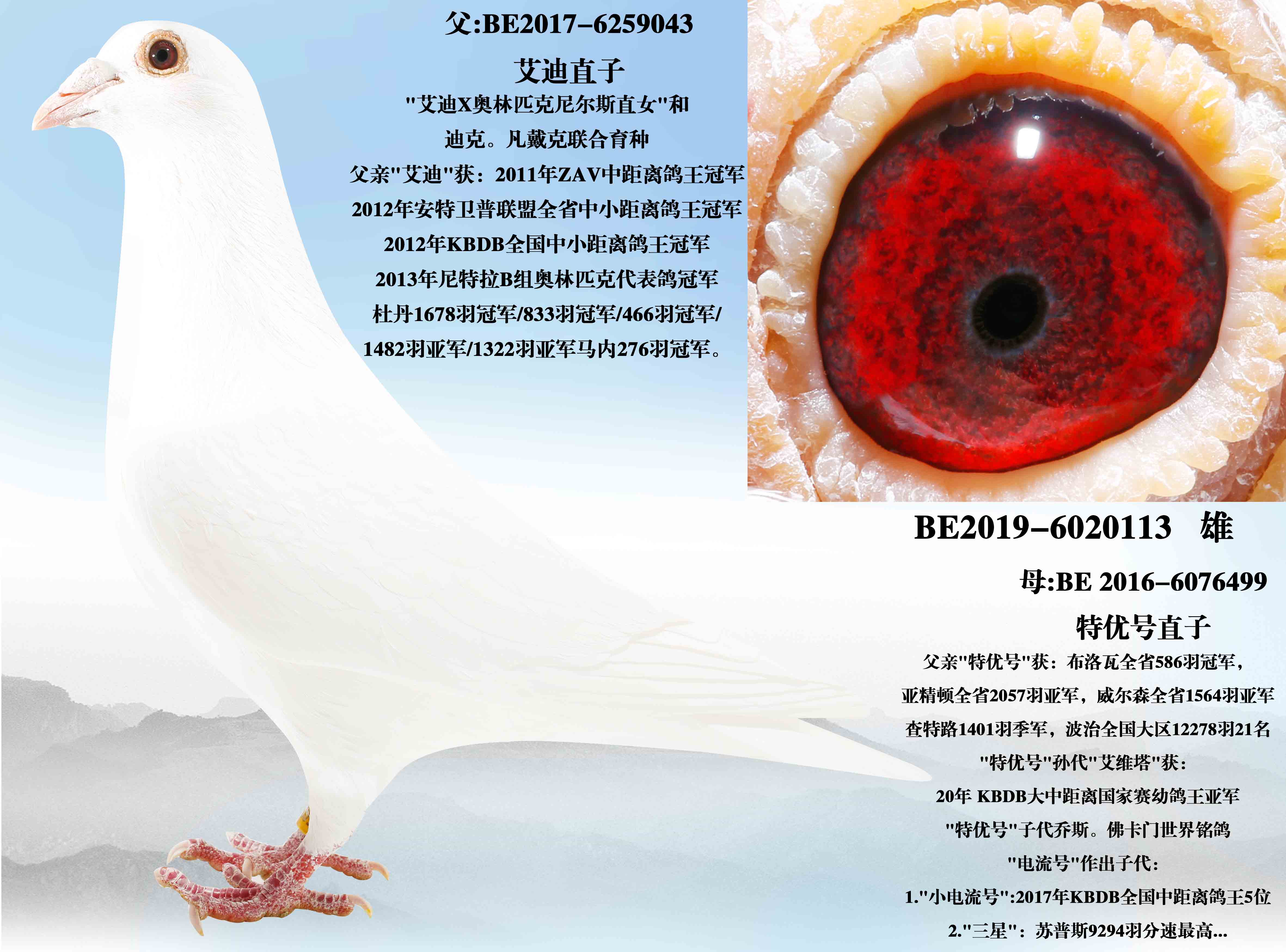 �����Ϻš�X���ź�