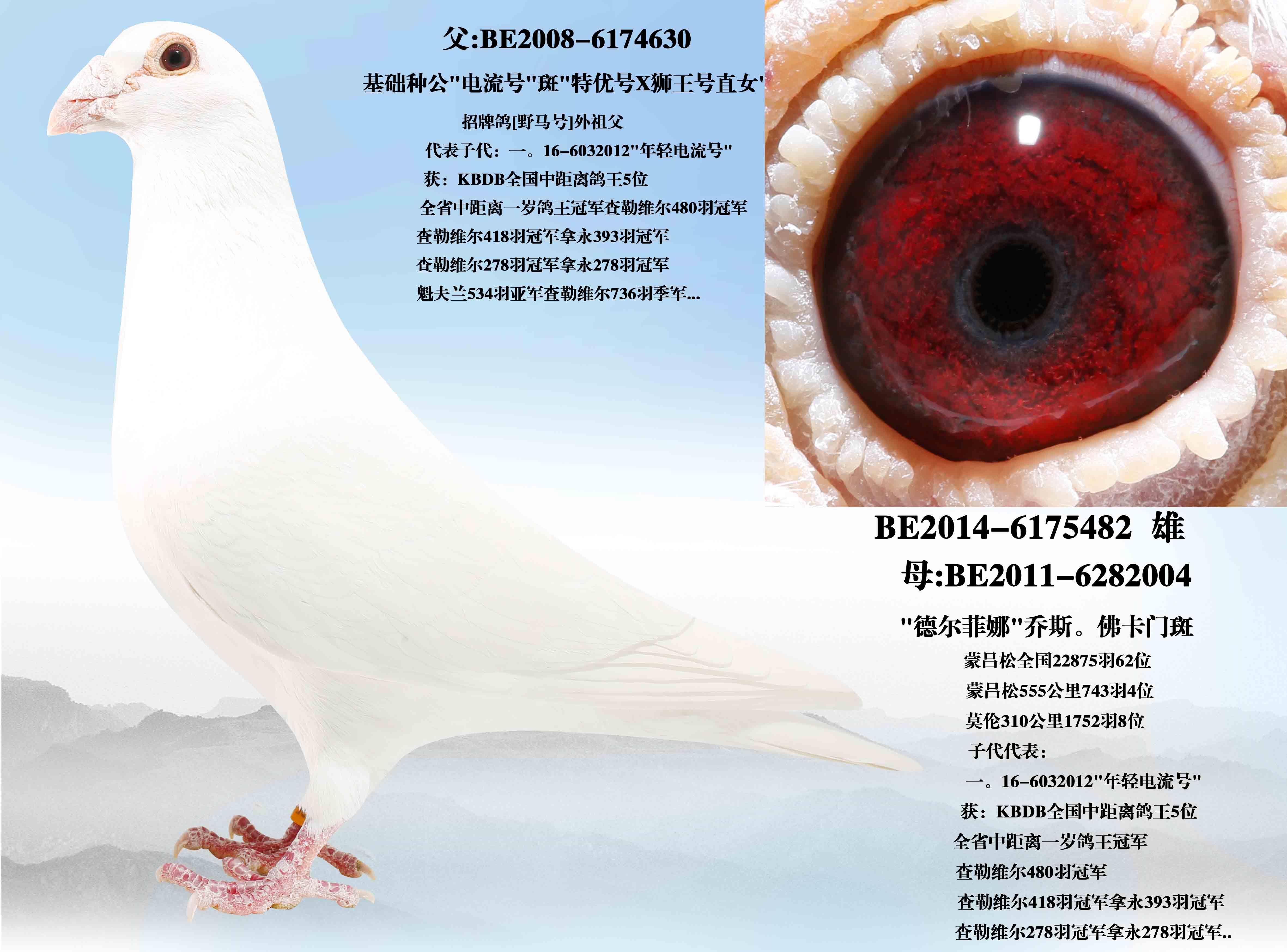 ���ź�ֱ��