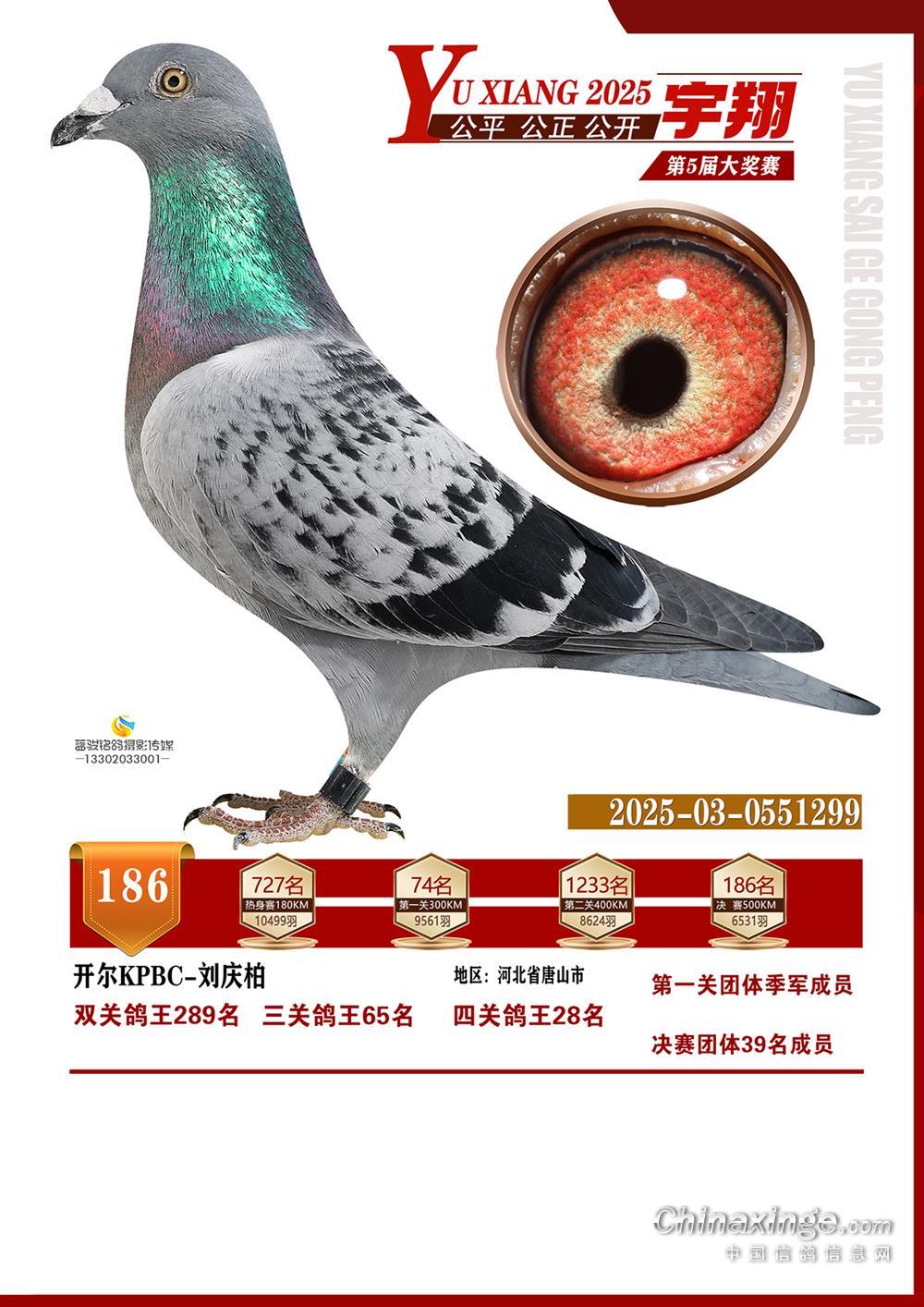 25�����������P(gu��n)����28�����Qِ186��