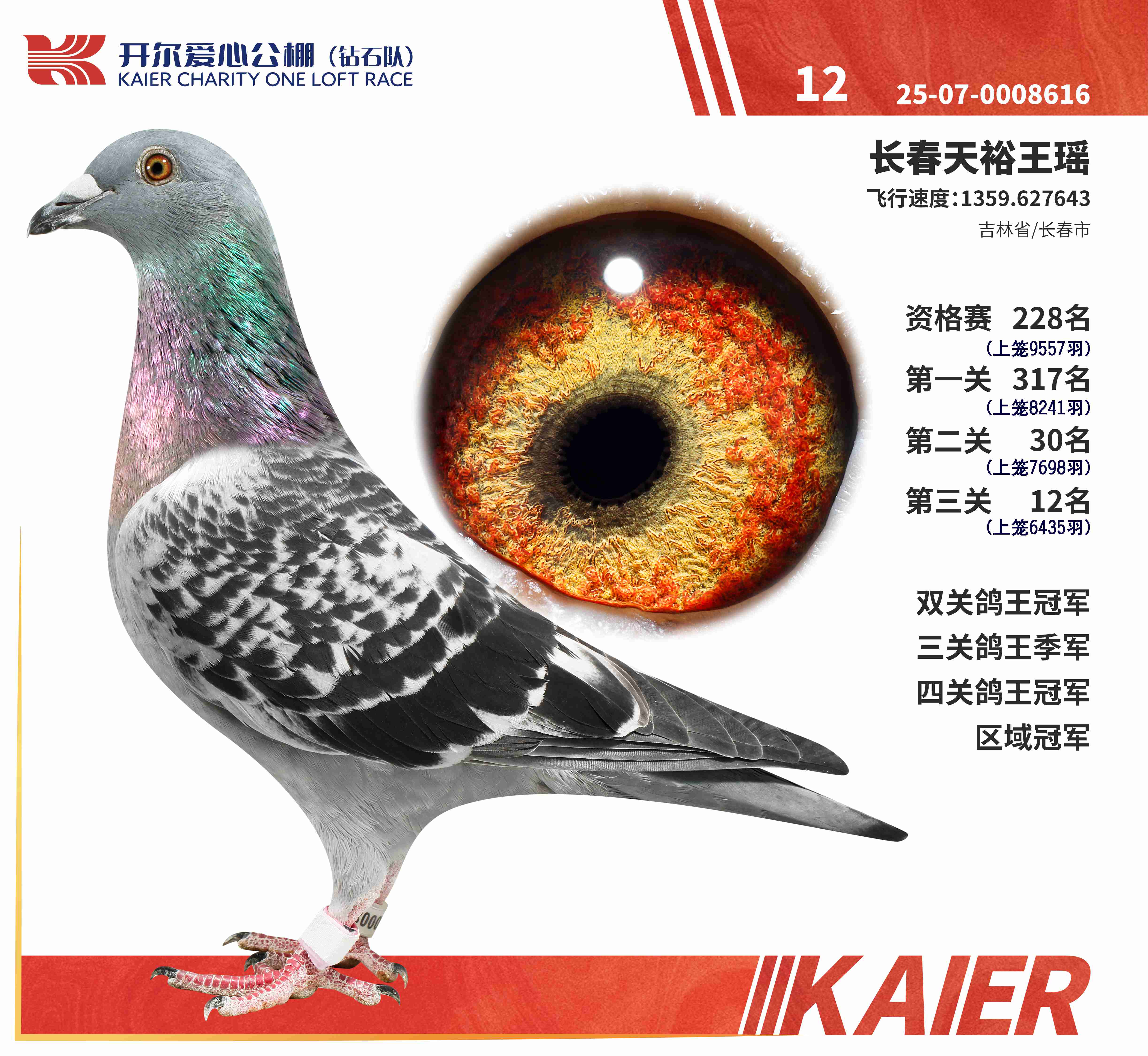 25����ʯ���Ĺظ����ھ�������12��