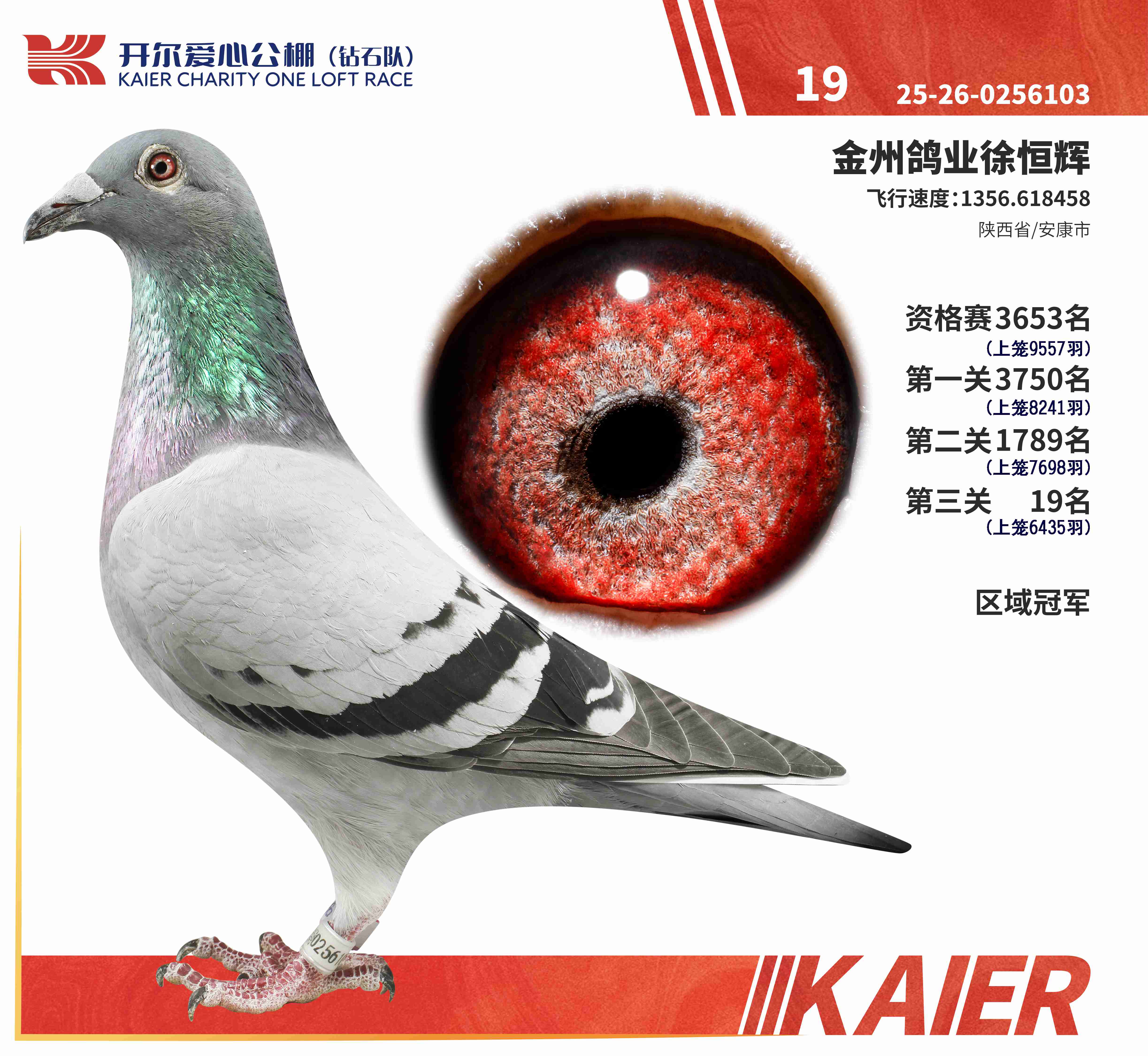 25���@ʯ�(du��)�Qِ19�����^(q��)���܊