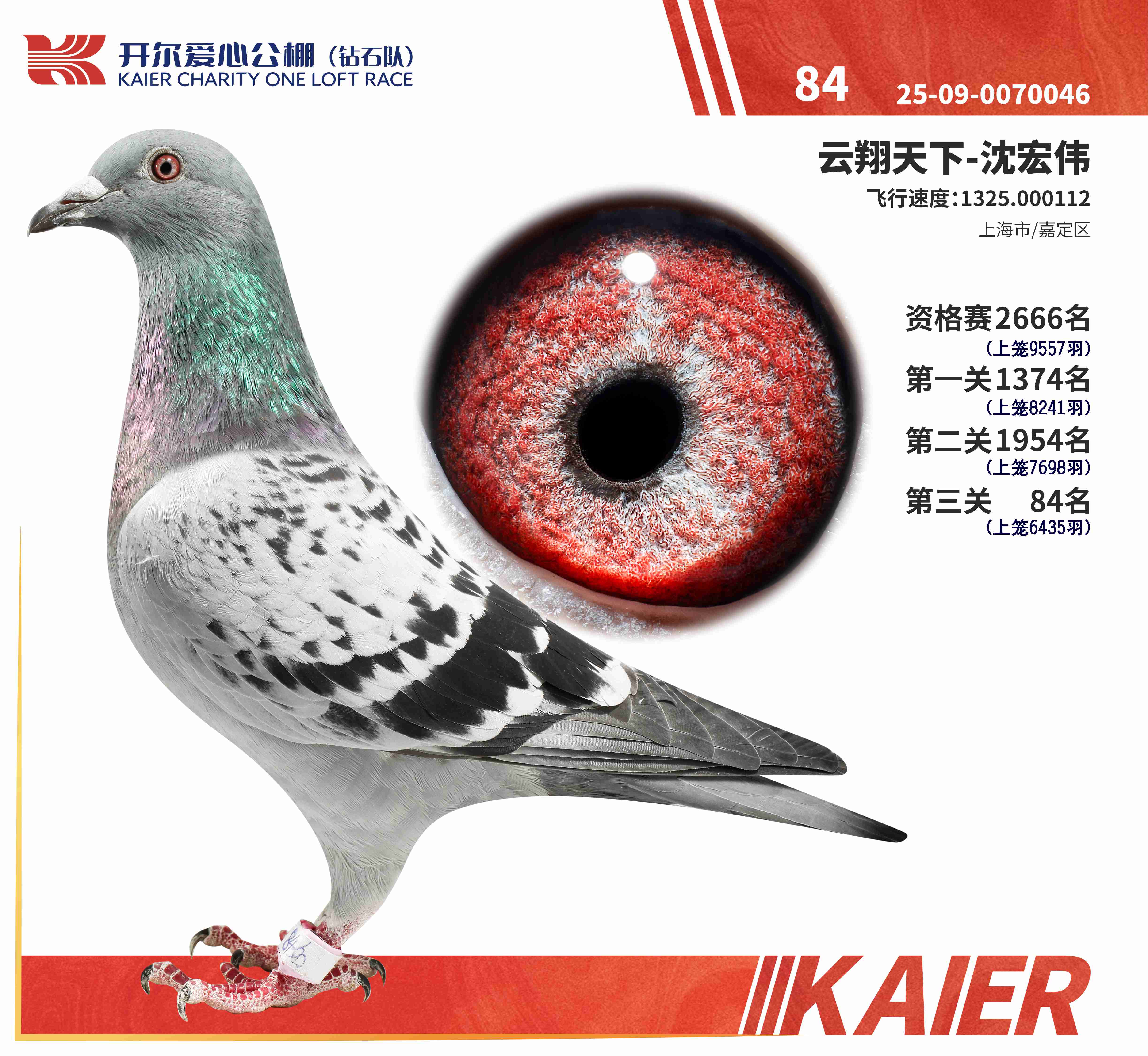 25���@ʯ�(du��)�Qِ84��