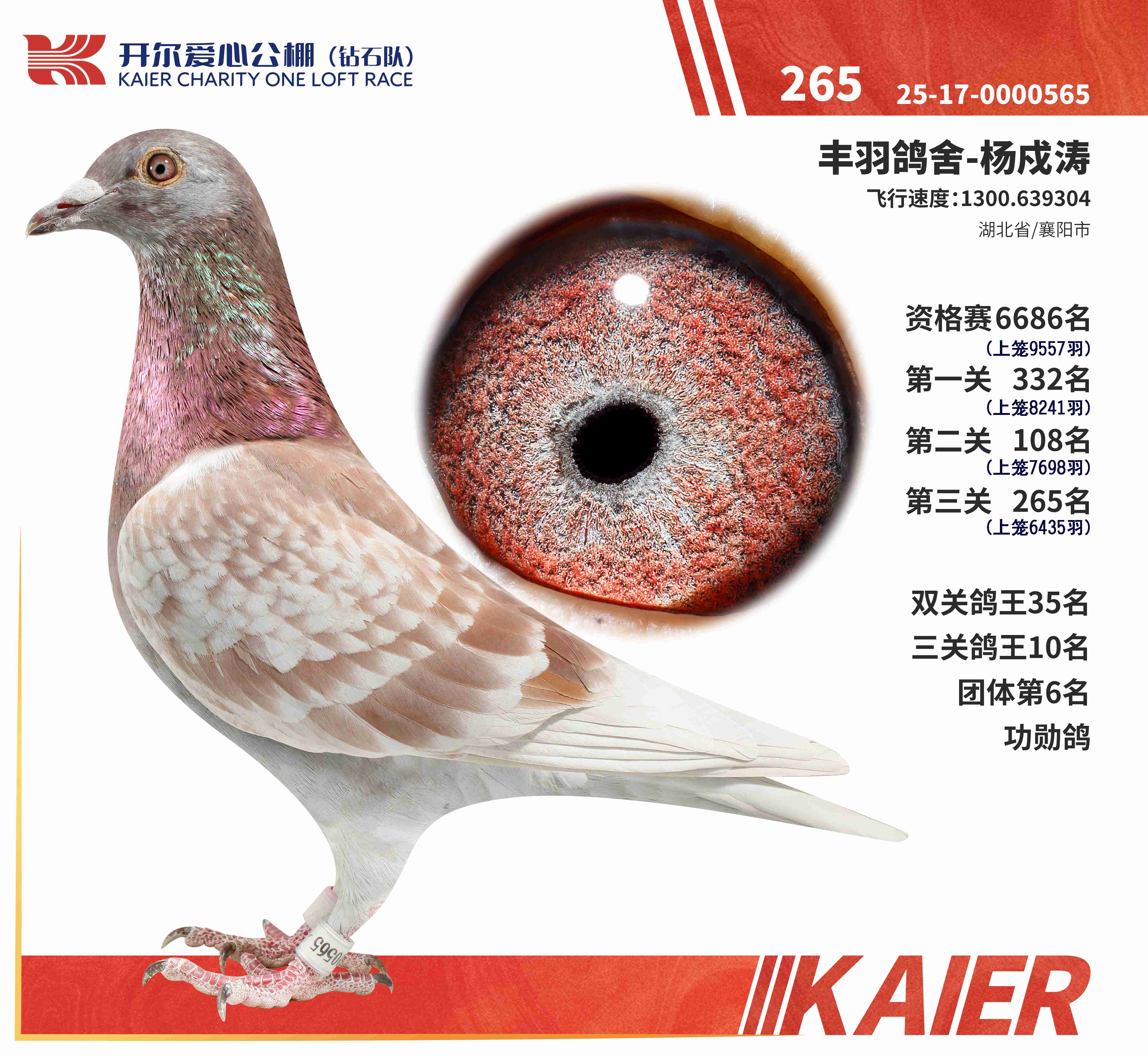 25���@ʯ�(du��)���P(gu��n)����10�����Qِ265��