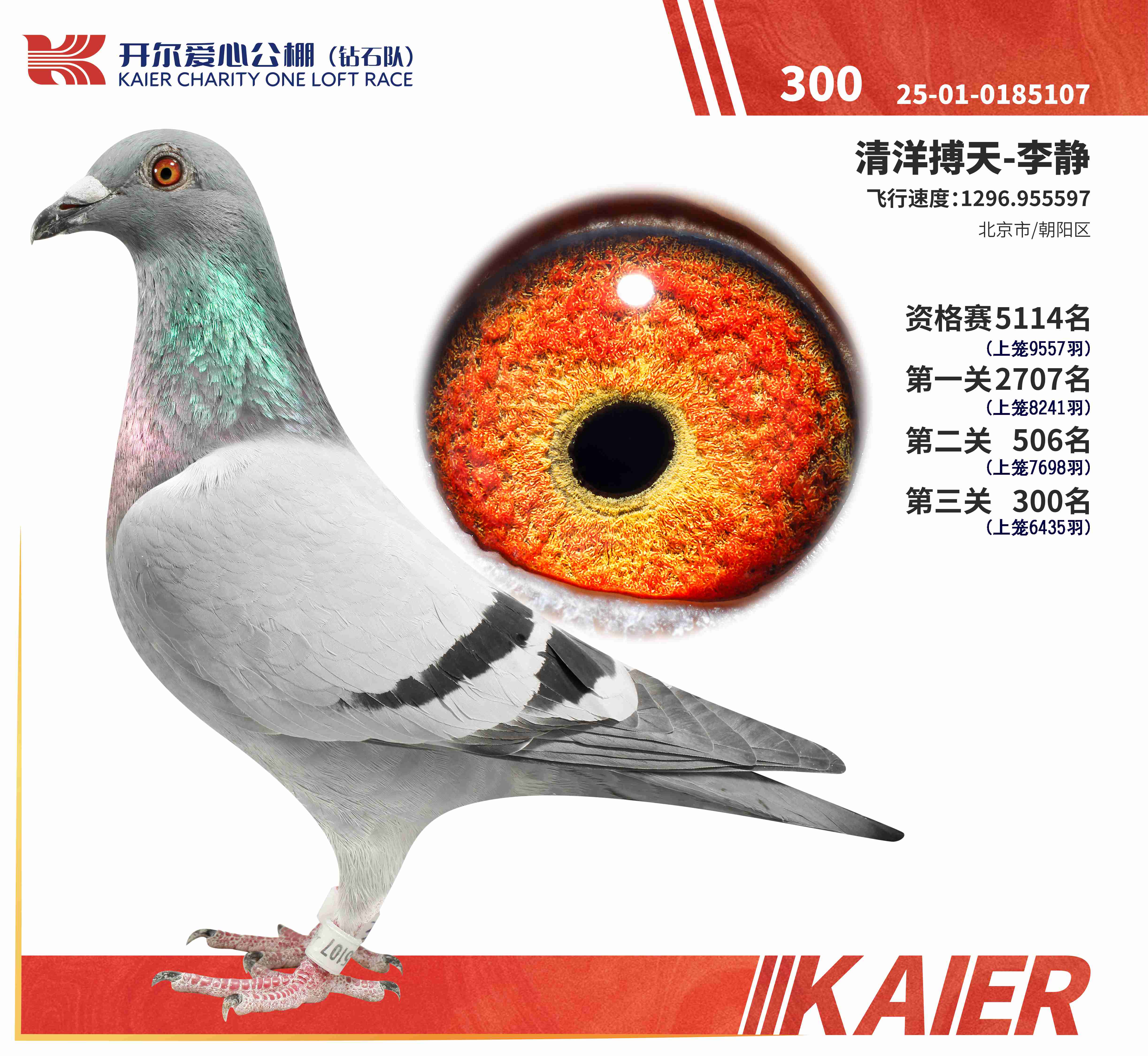 25���@ʯꠛQِ300��