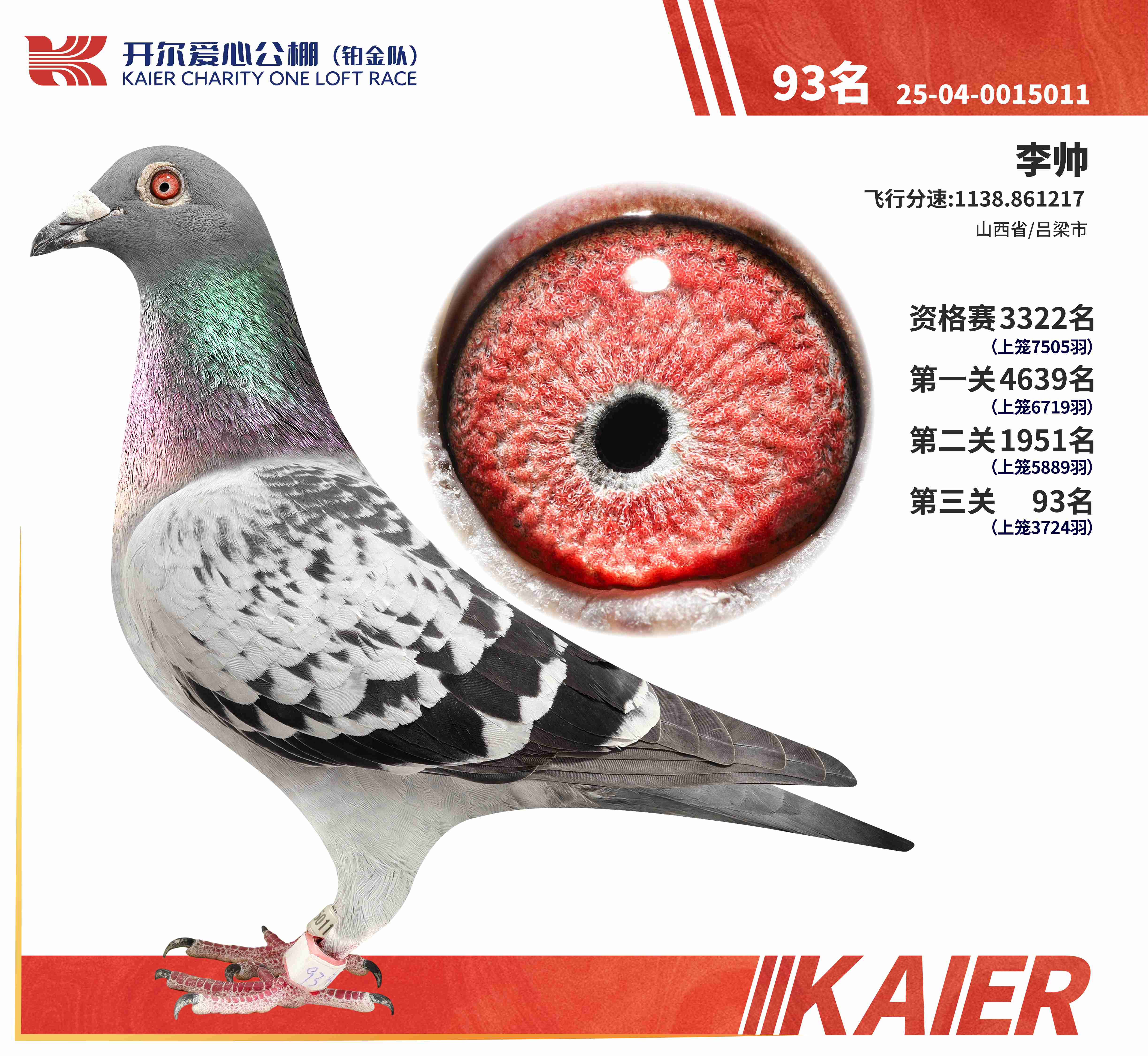 25���K���(du��)�Qِ93��