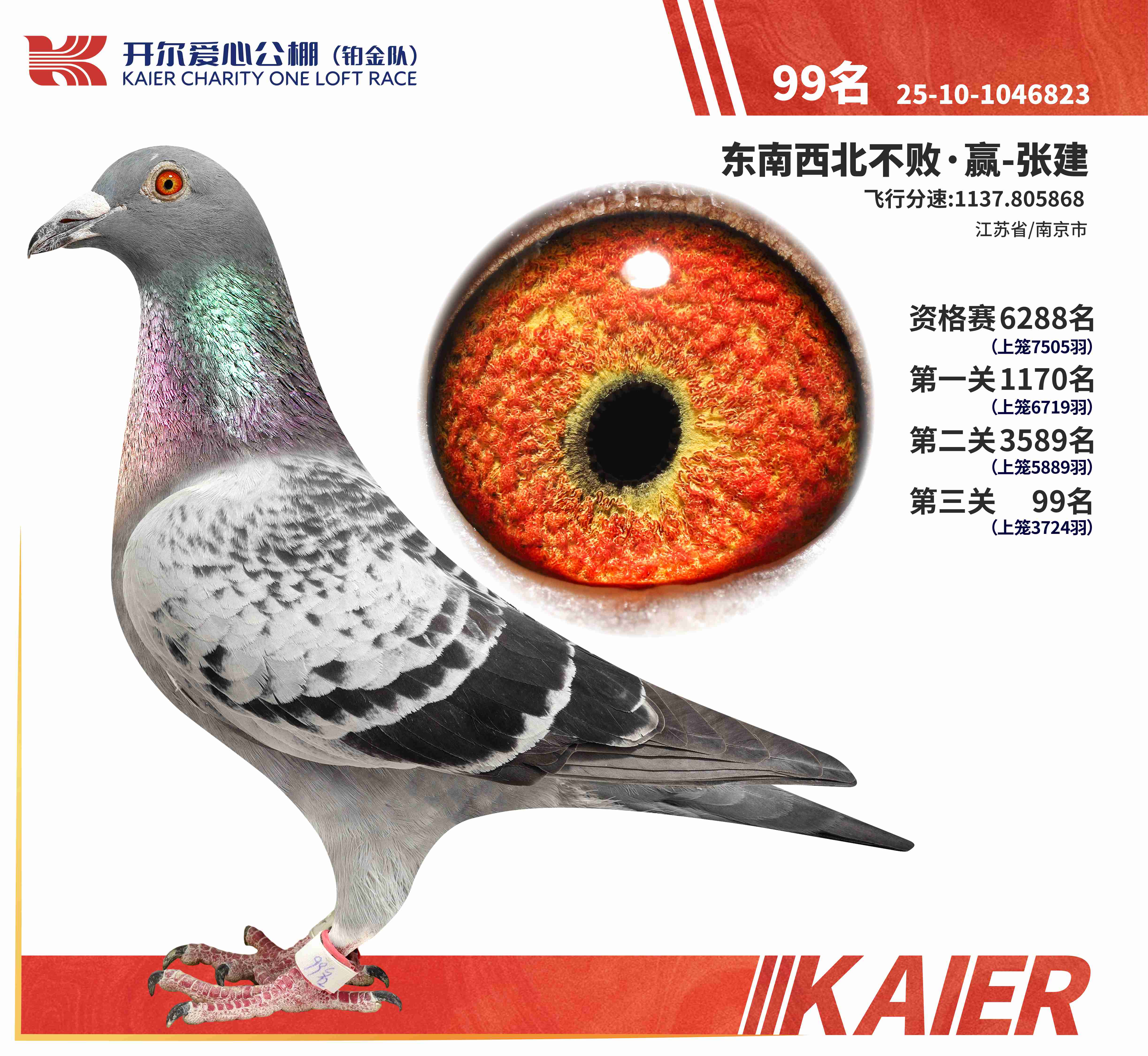 25���K���(du��)�Qِ99��