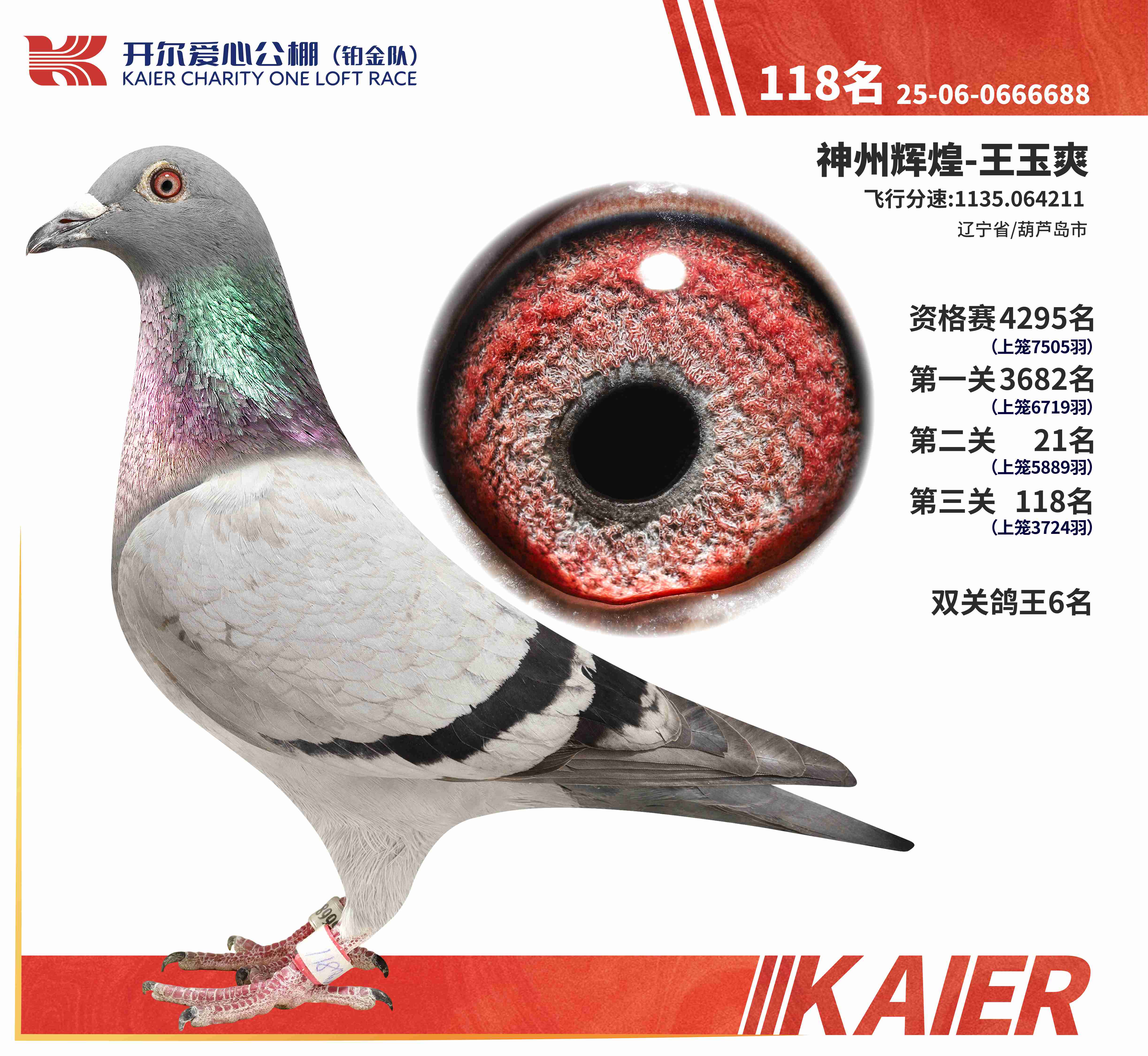 25���K���(du��)�p�P(gu��n)����6�����Qِ118��