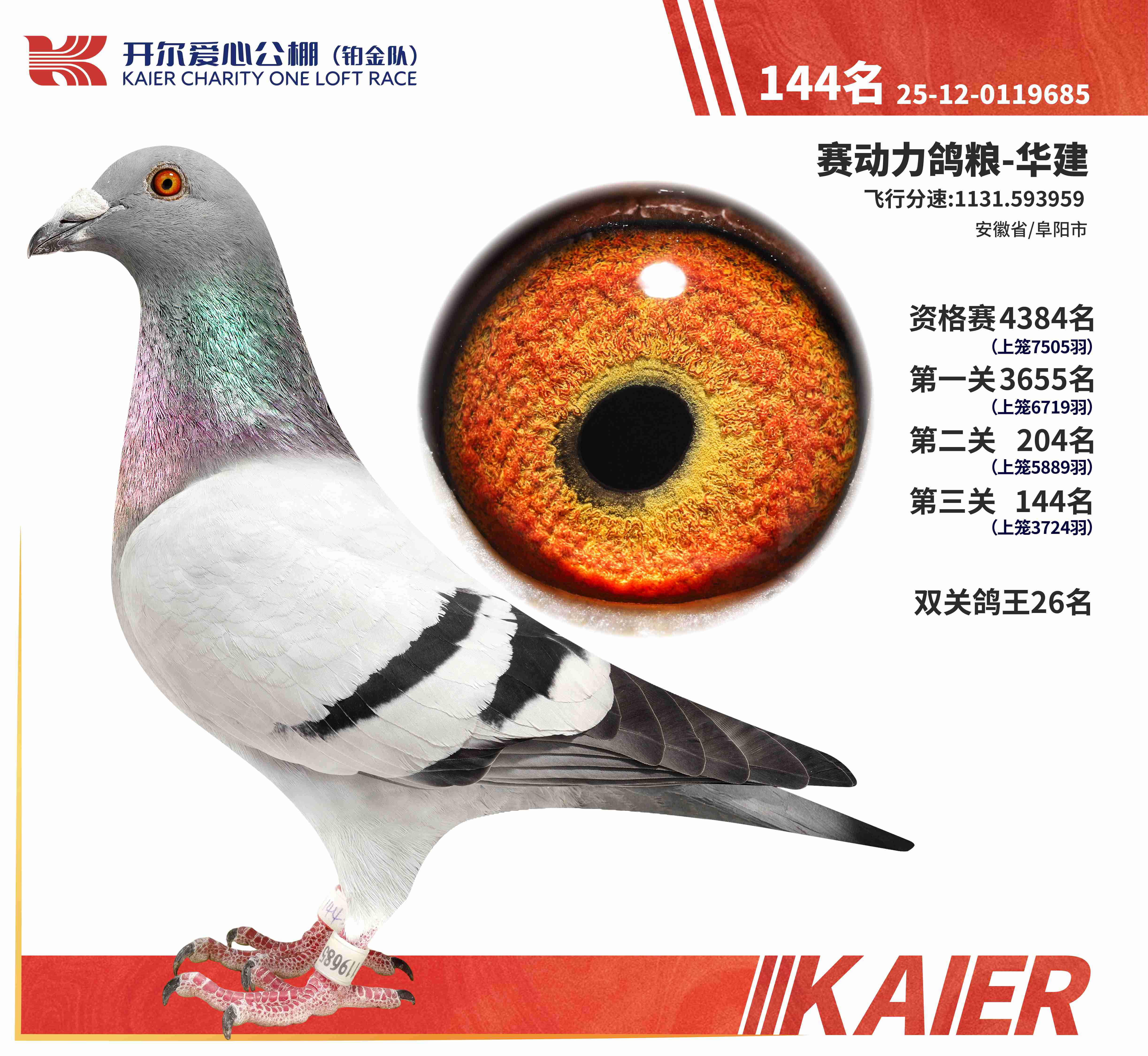 25���K���(du��)�p�P(gu��n)����26�����Qِ144��