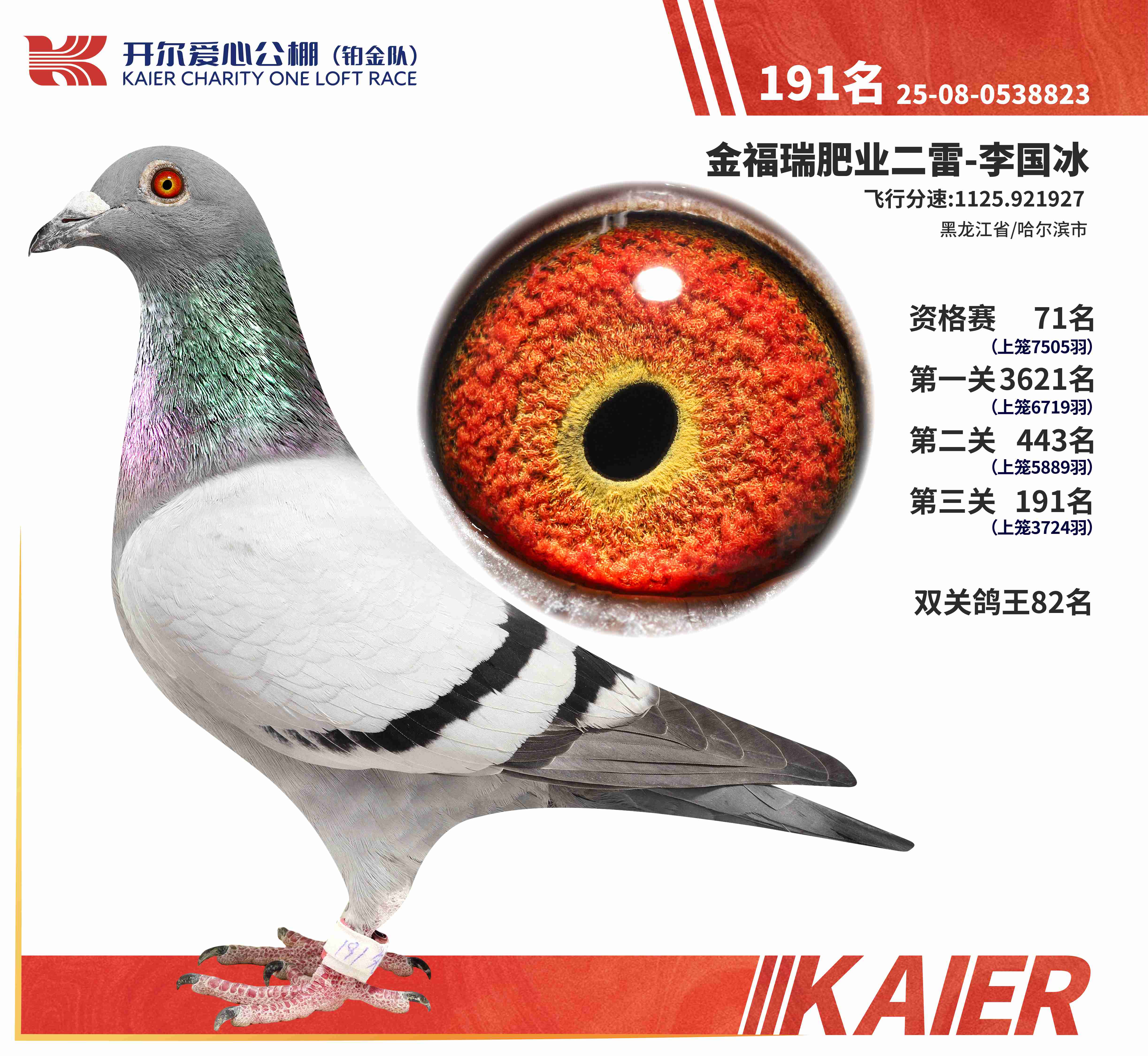 25���K���(du��)�Qِ191��