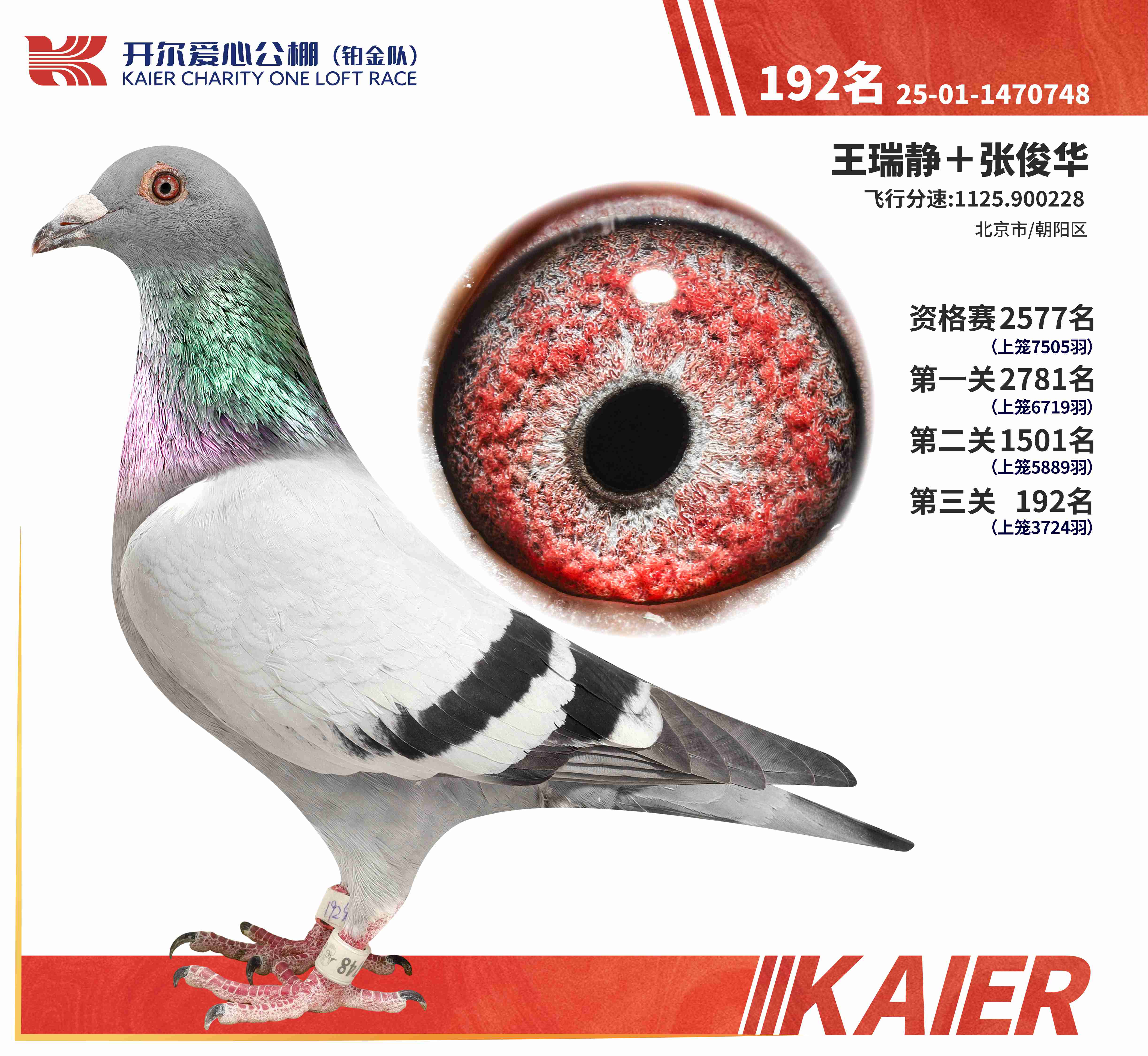 25���K���(du��)�Qِ192��