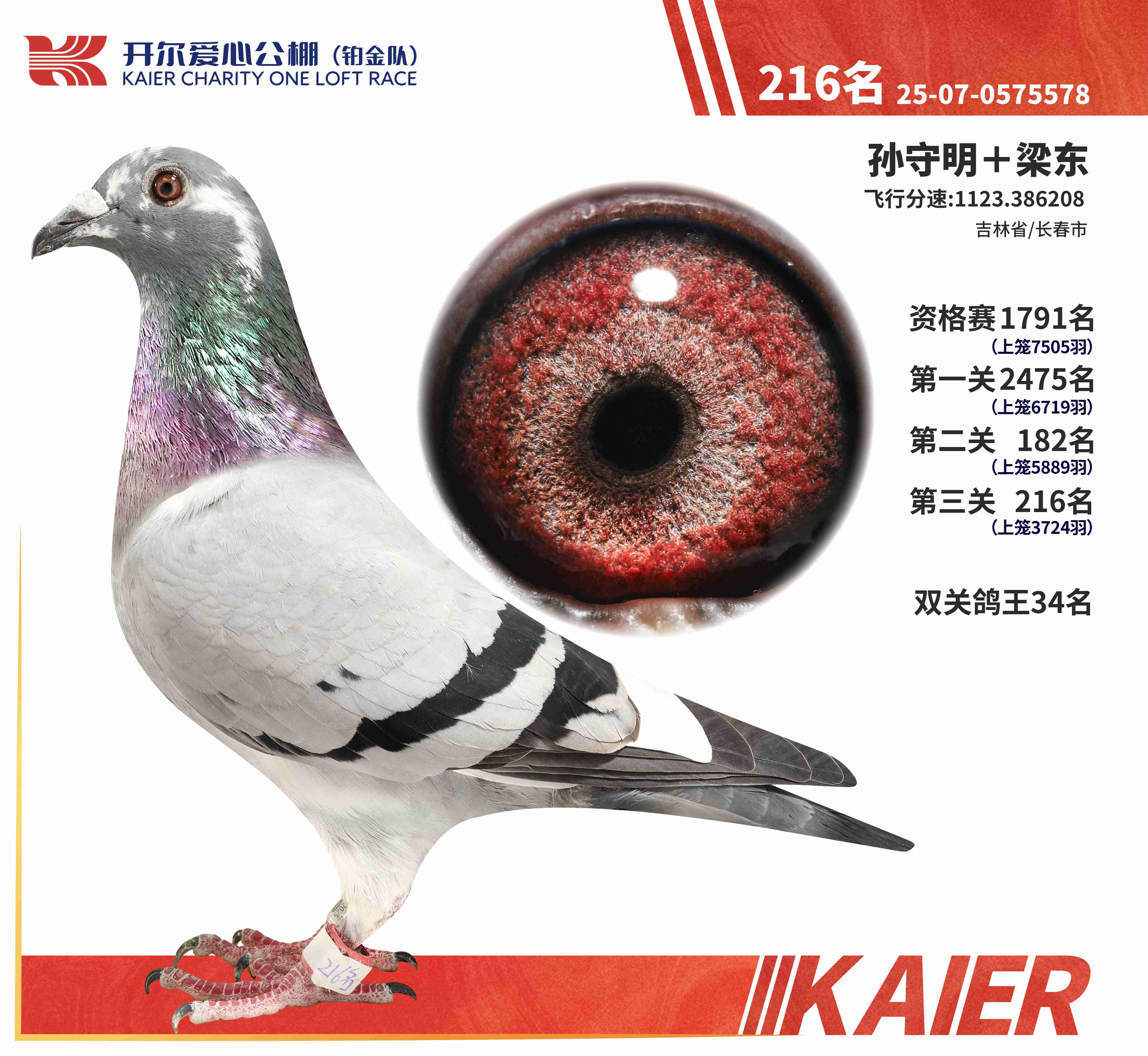 25���K���(du��)�Qِ216��