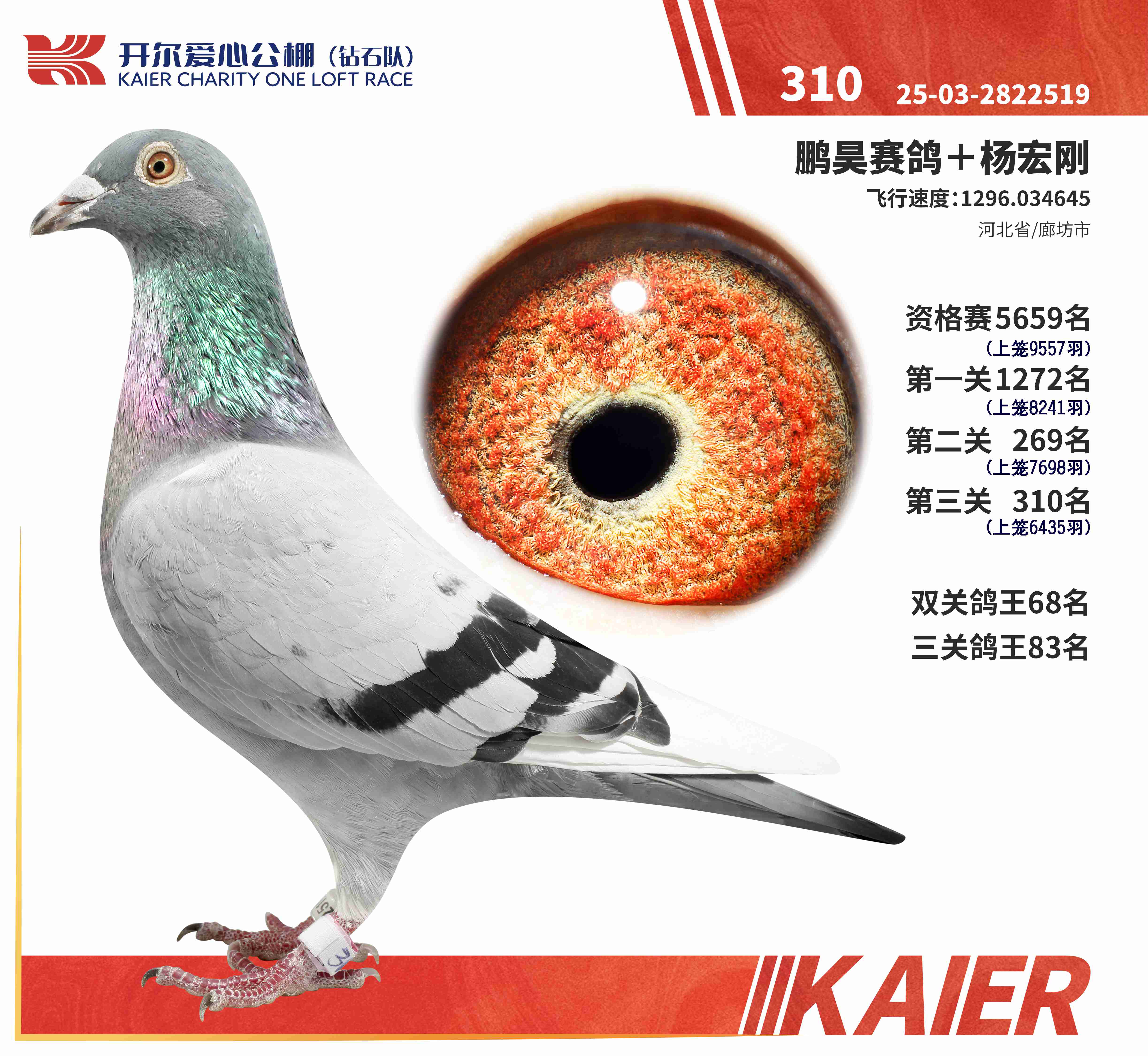 25���@ʯꠛQِ310��