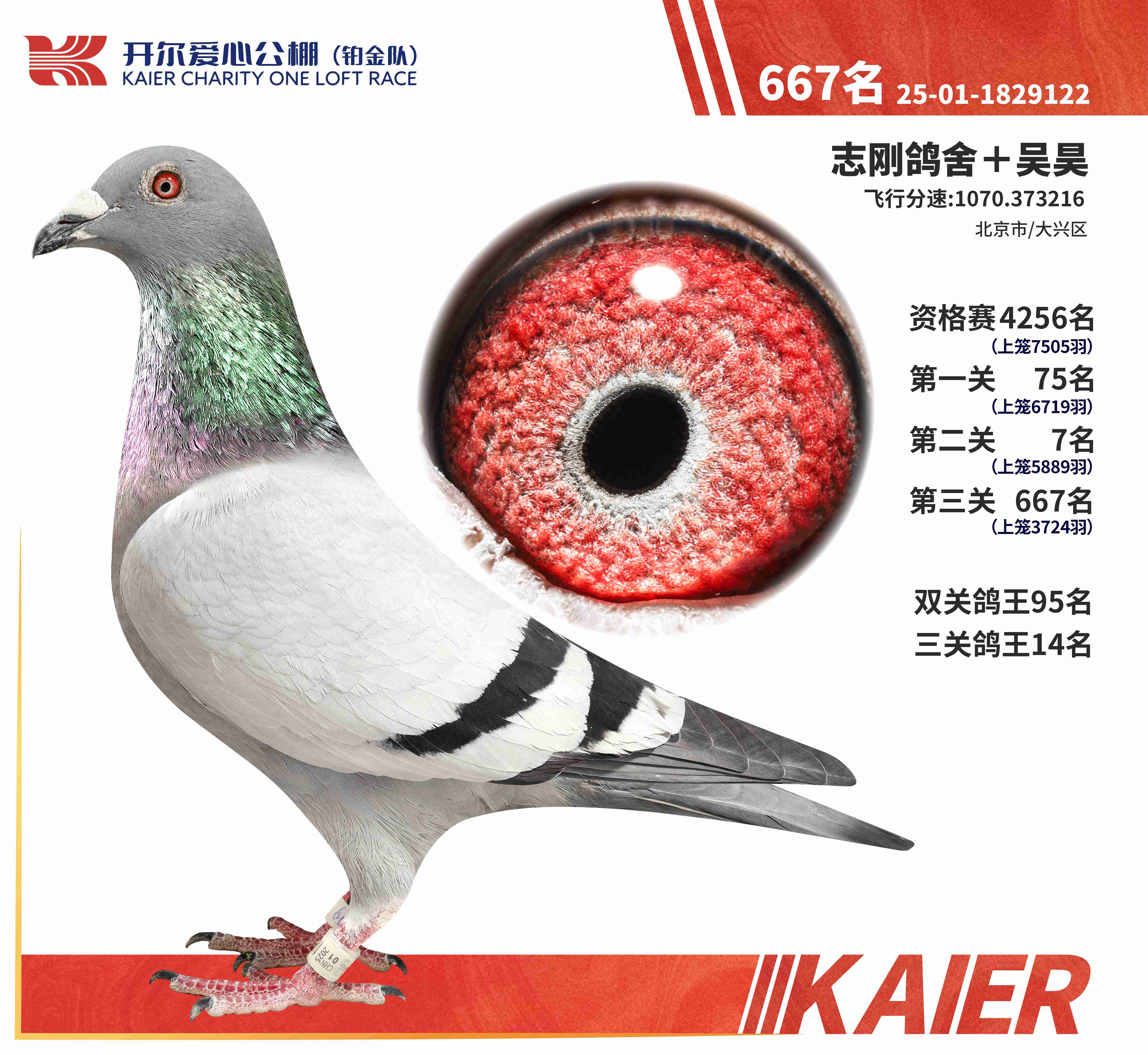 25���K���(du��)���P(gu��n)����14��