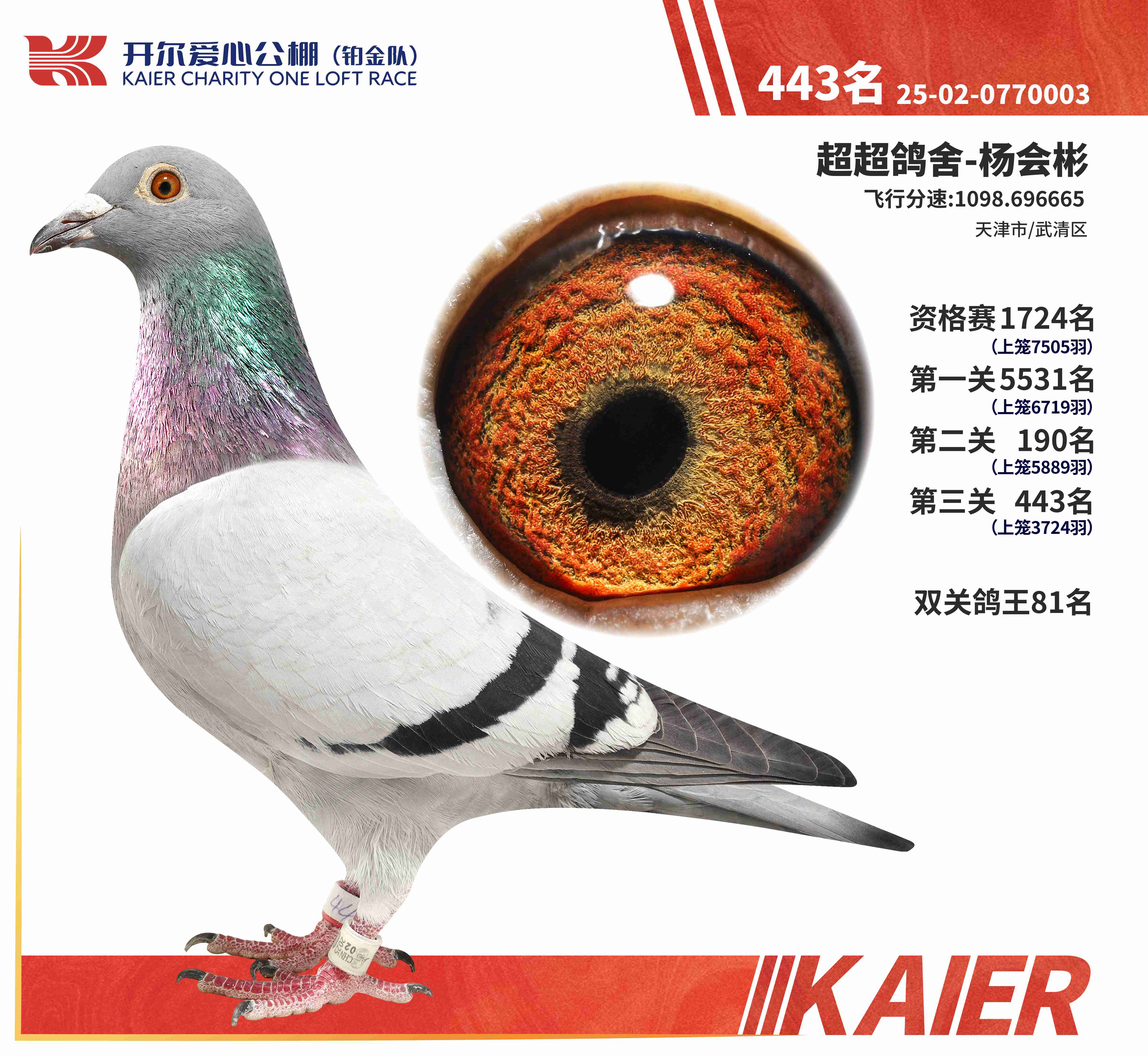 25���K���(du��)�Qِ443��