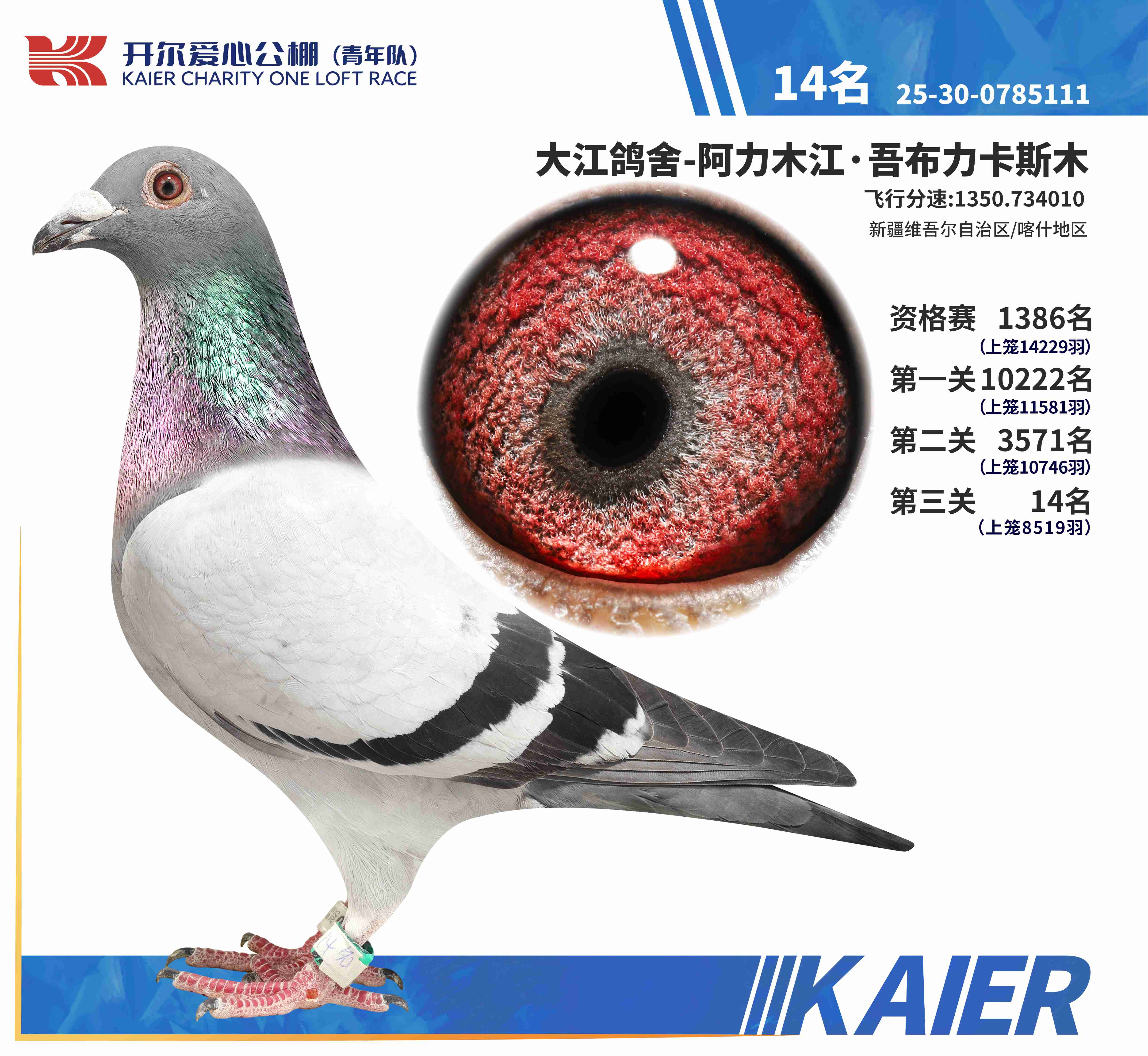 25������ꠛQِ14��