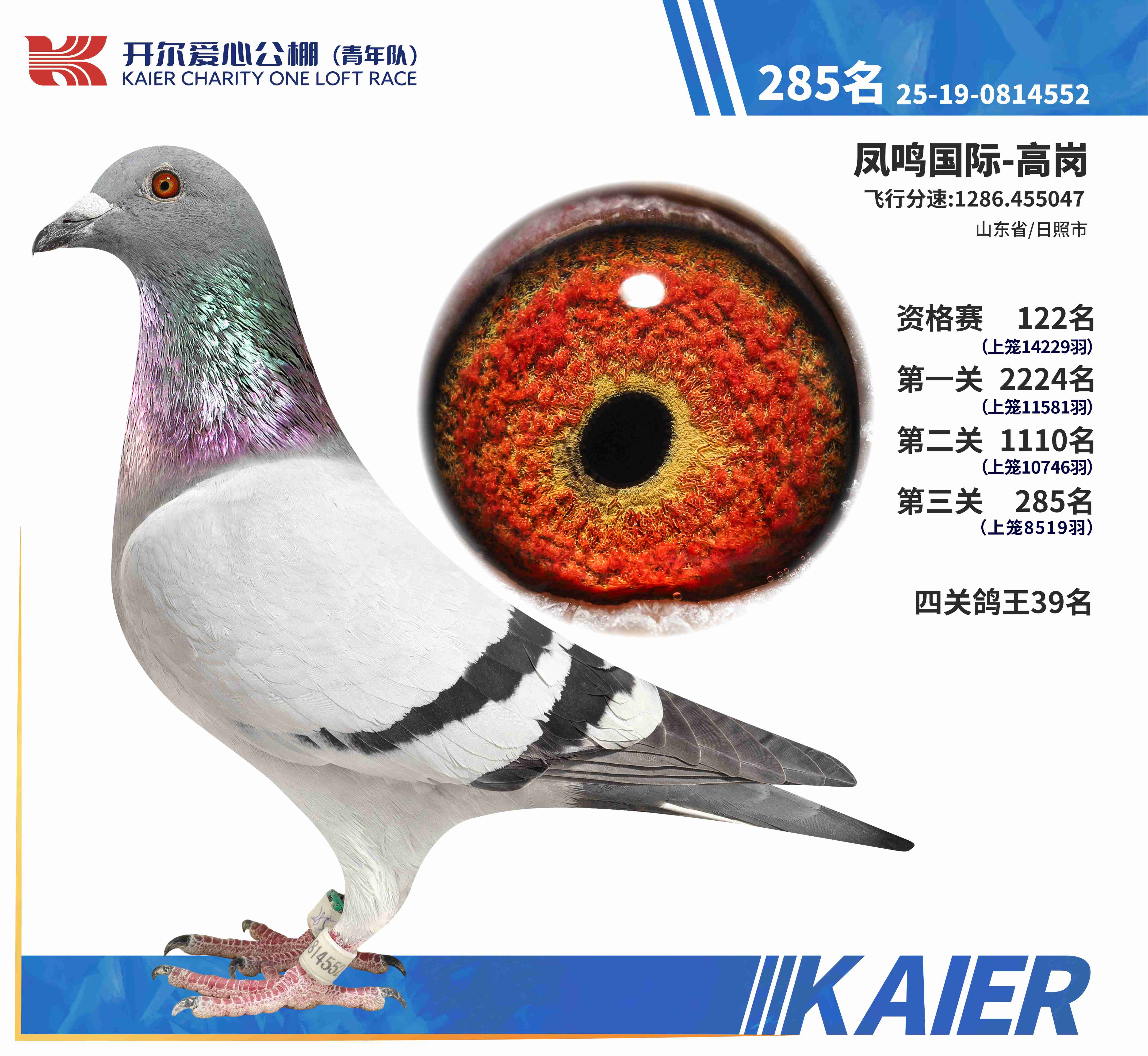 25������ꠛQِ285��