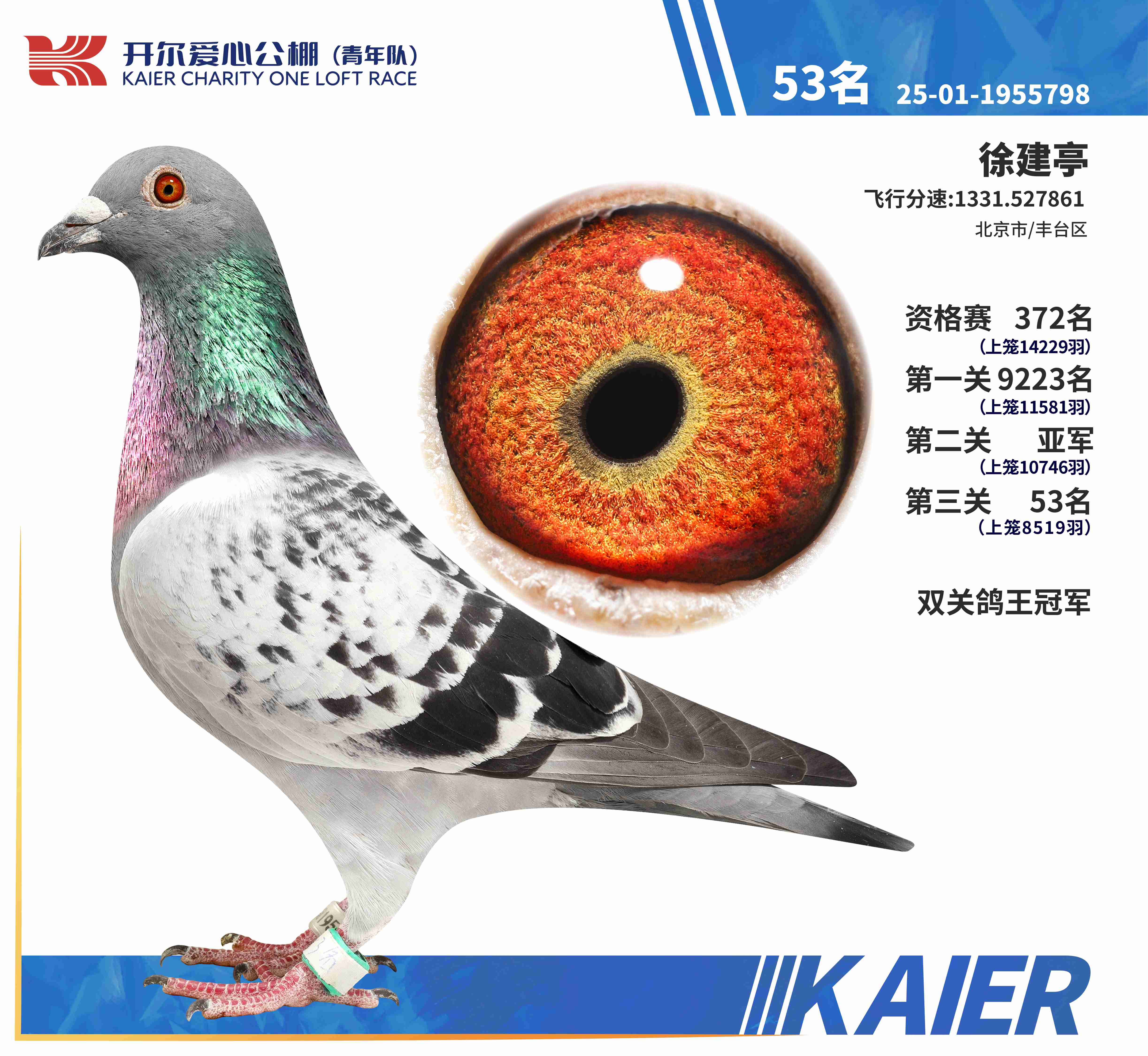 25�������˫�ظ����ھ���Ԥ���Ǿ�