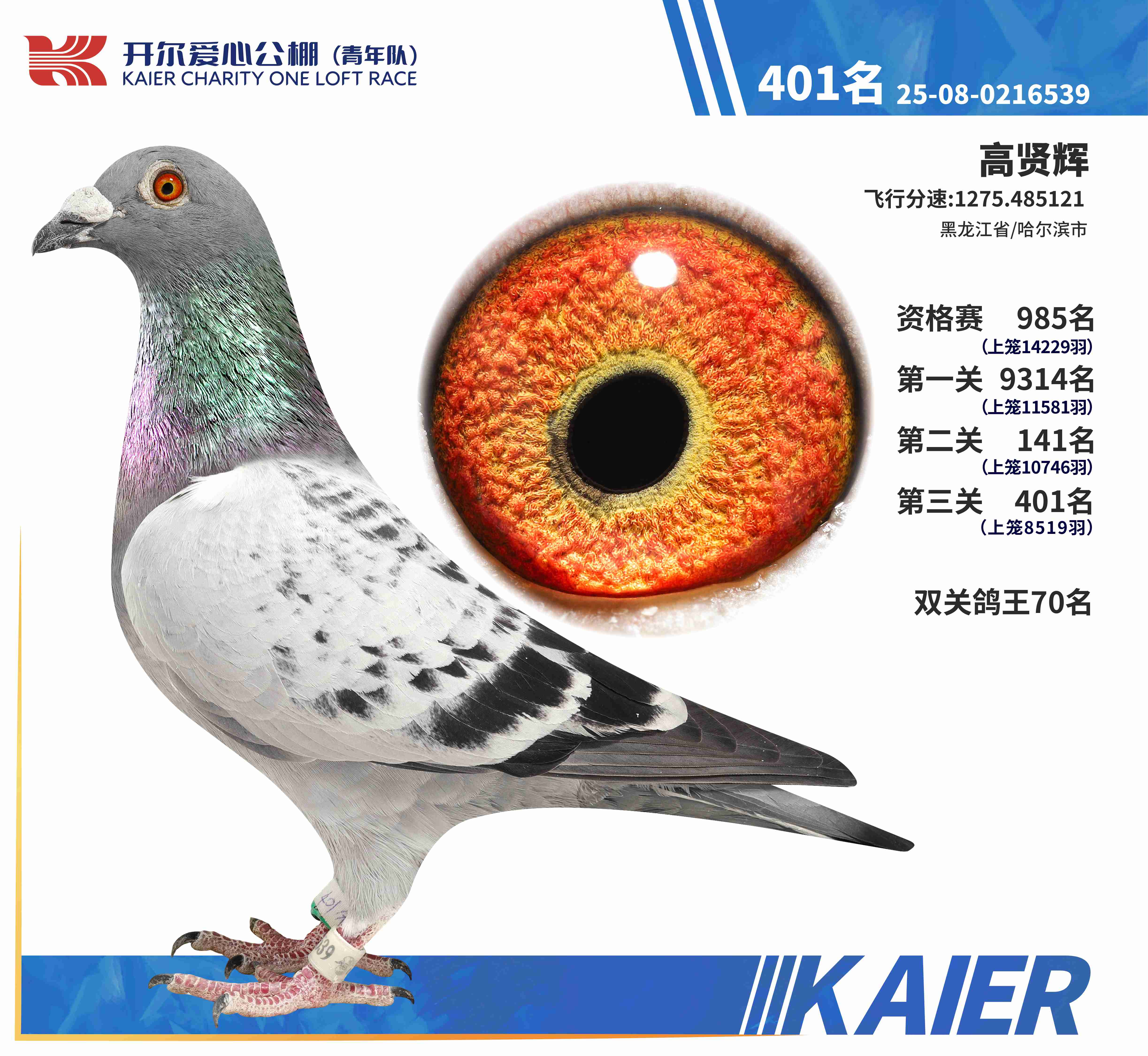 25�������(du��)�Qِ401��