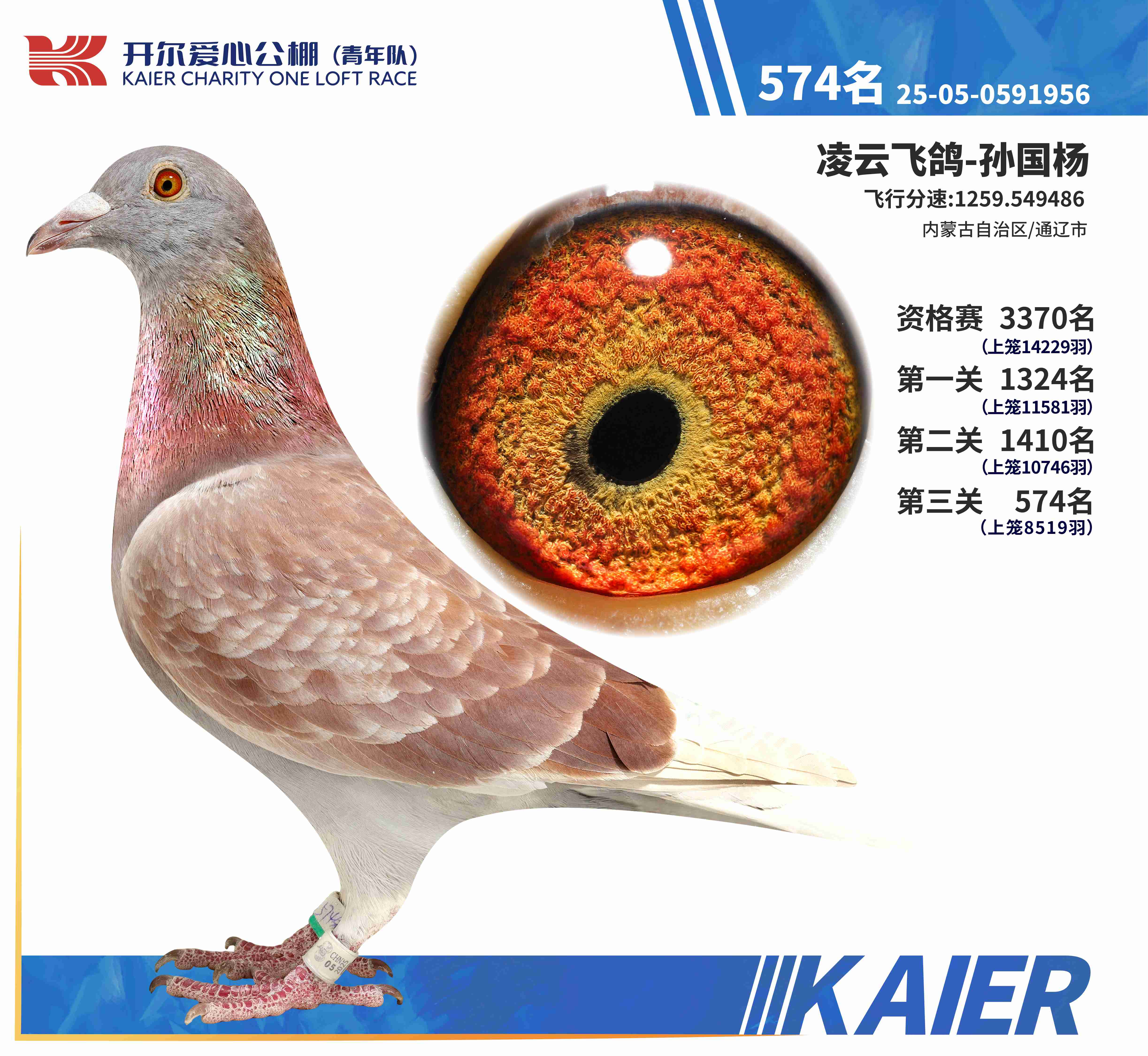 25������ꠛQِ574��