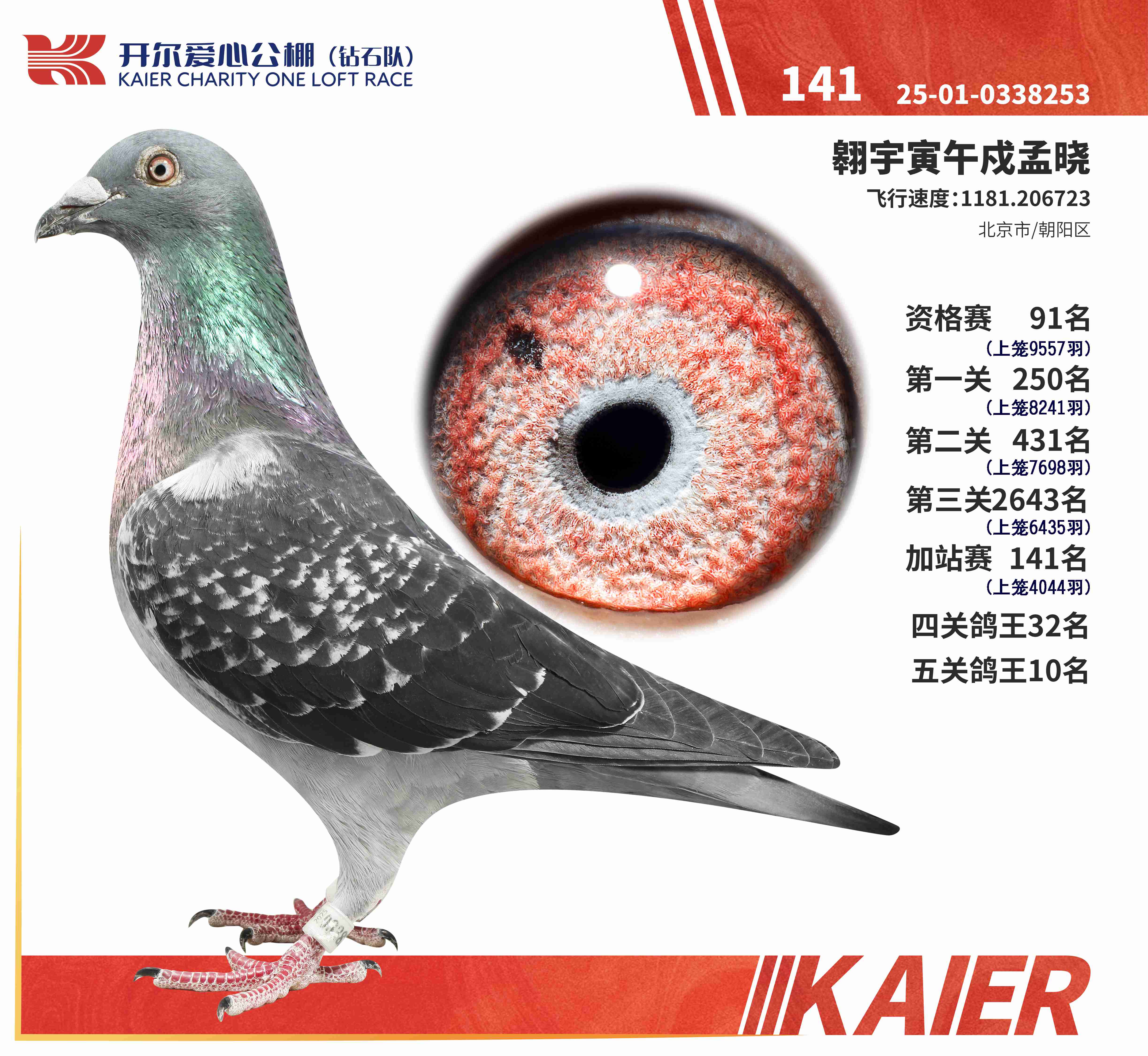 25���@ʯ�(du��)���P(gu��n)����10������վ141��