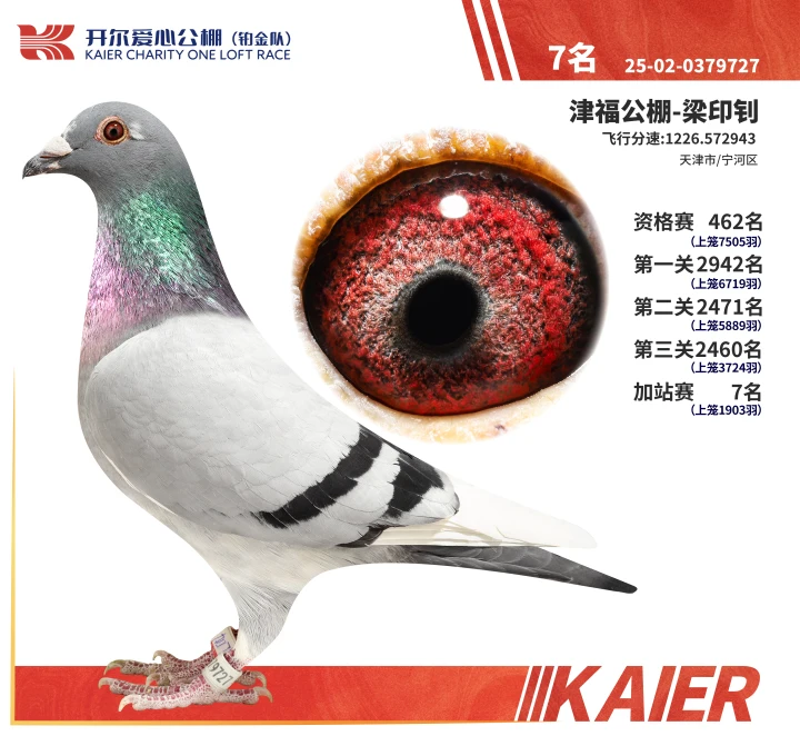 25���K���(du��)��վِ7��