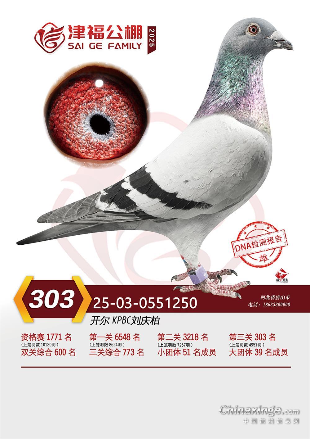 25�������򸣛Qِ303��