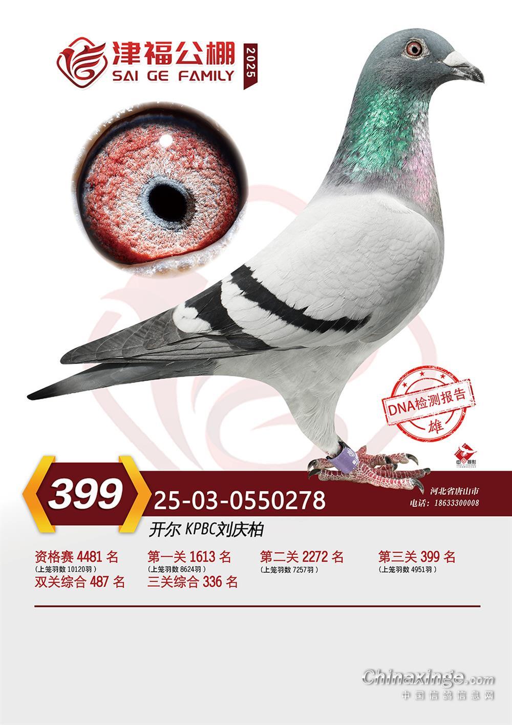 25�������򸣛Qِ399��