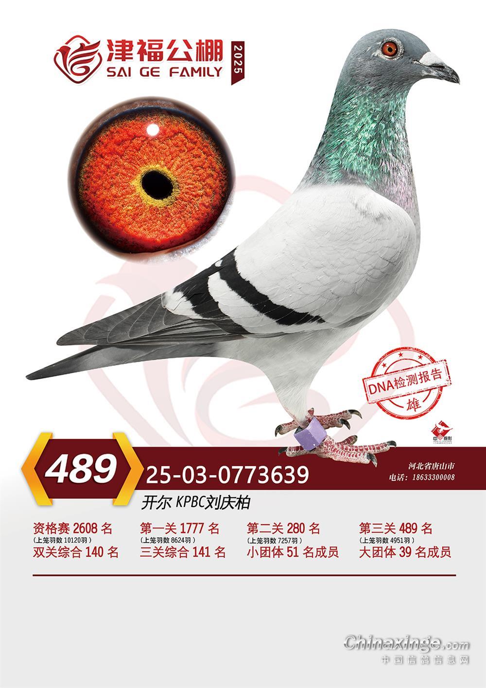 25�������򸣛Qِ489��