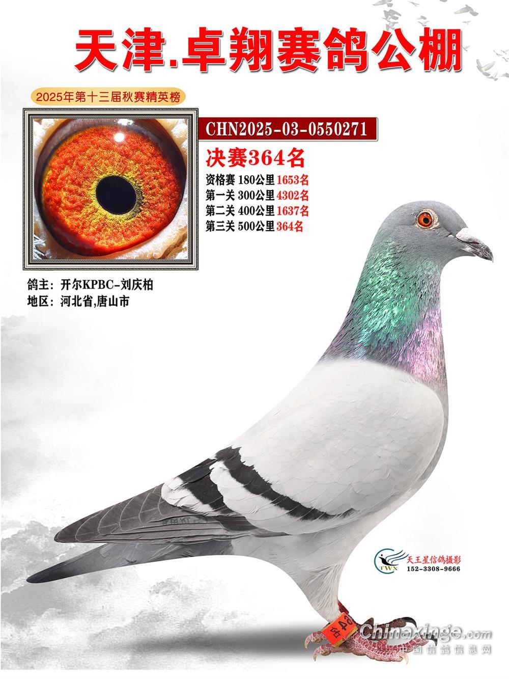 25�������׿��Qِ364��