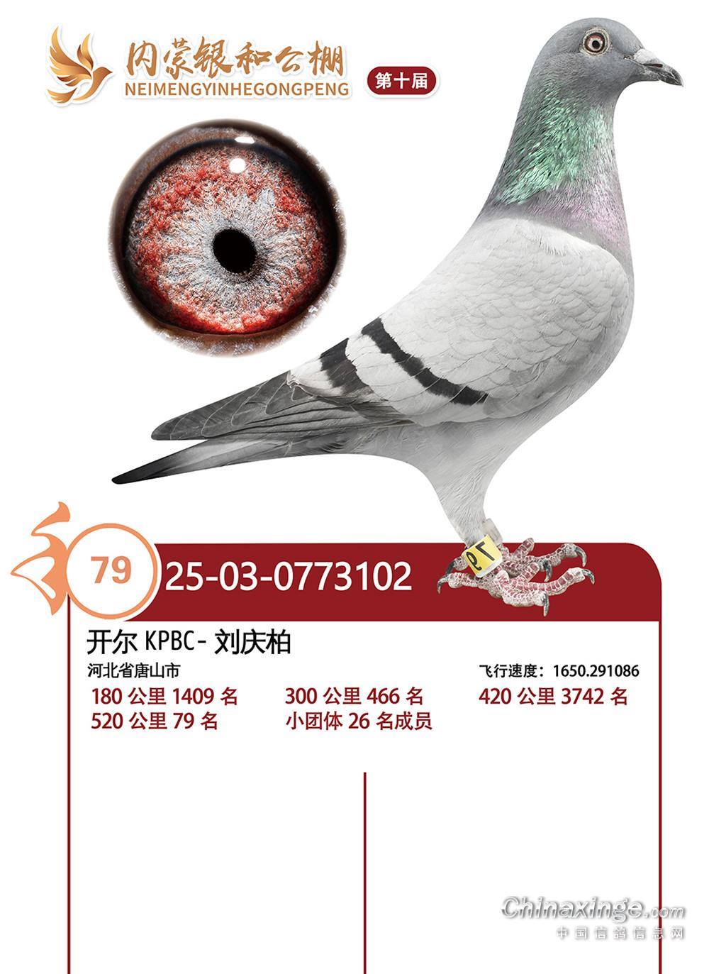 25�������;���79��