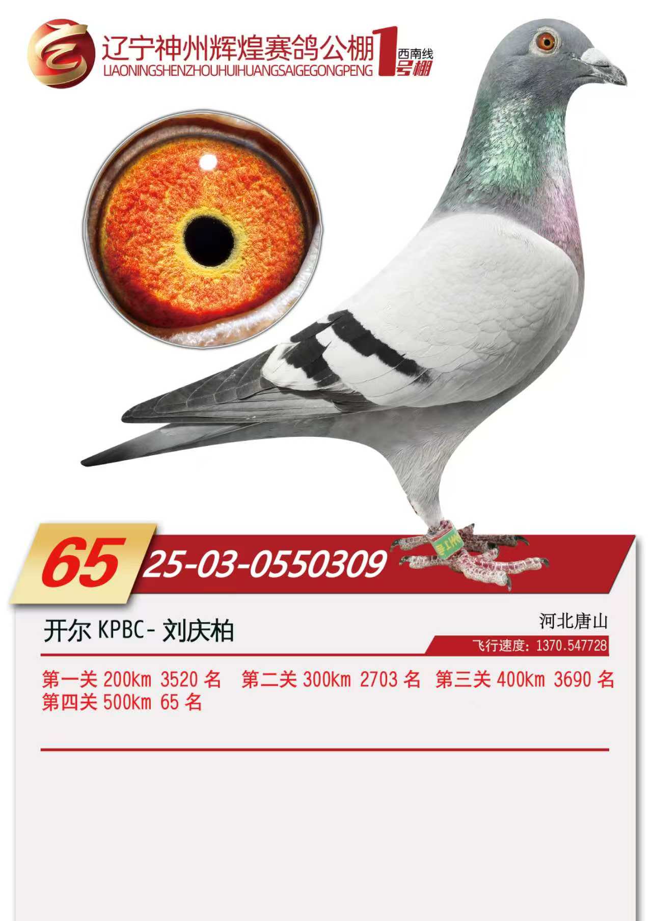 25�������ݻԻ�1�������65��