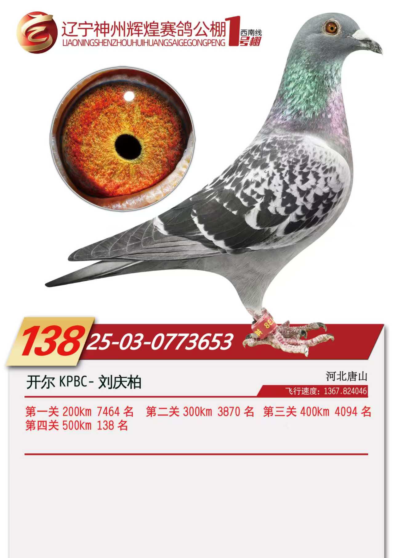 25�������ݻԻ�1�������138��