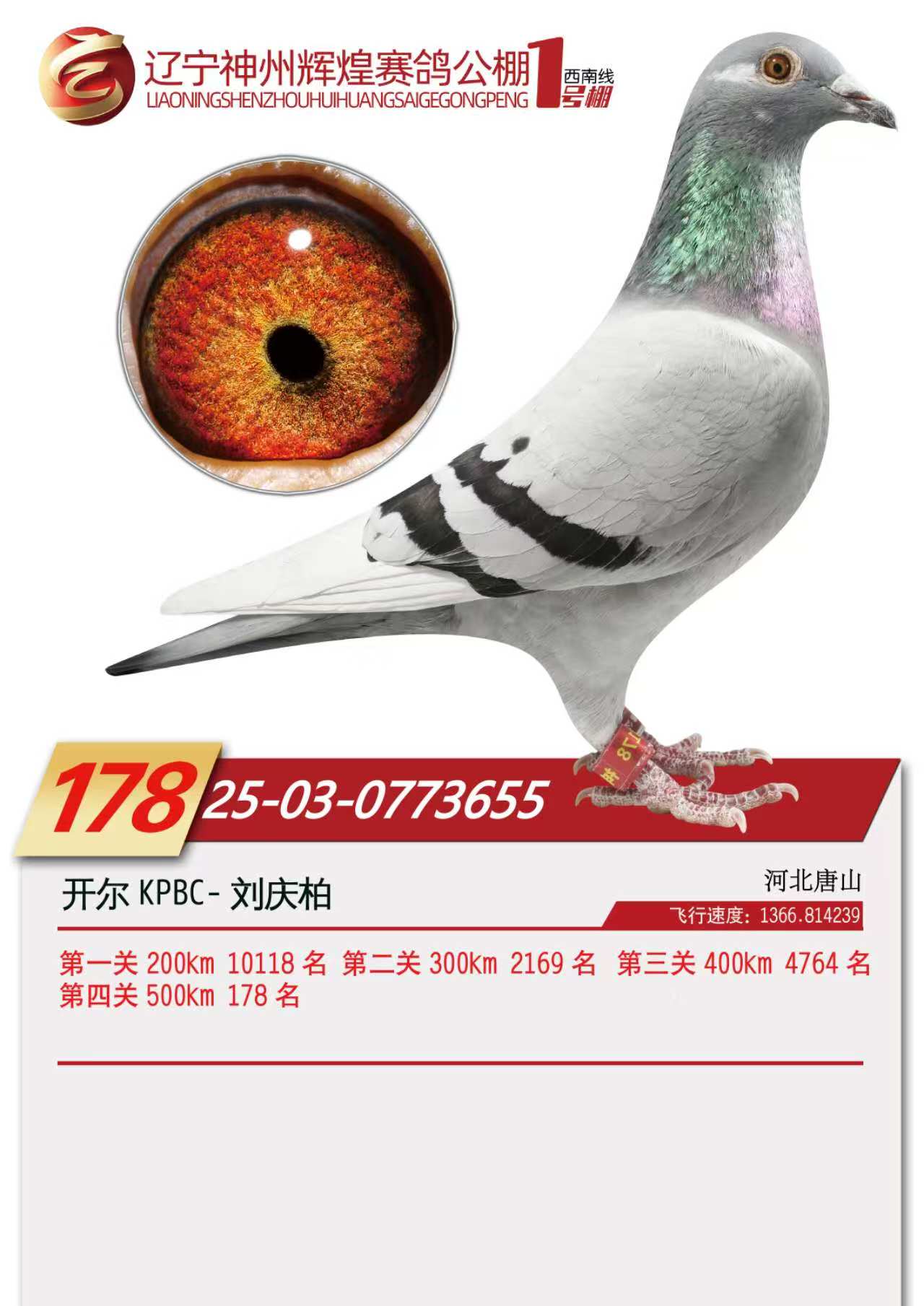 25�������ݻԻ�1�������178��