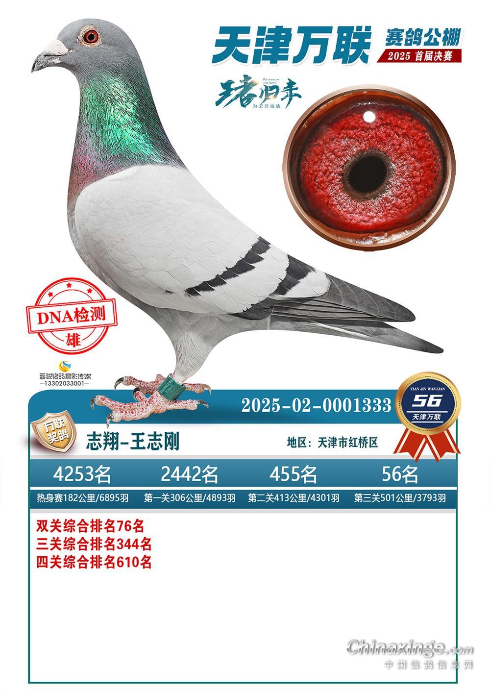 ��������������56��