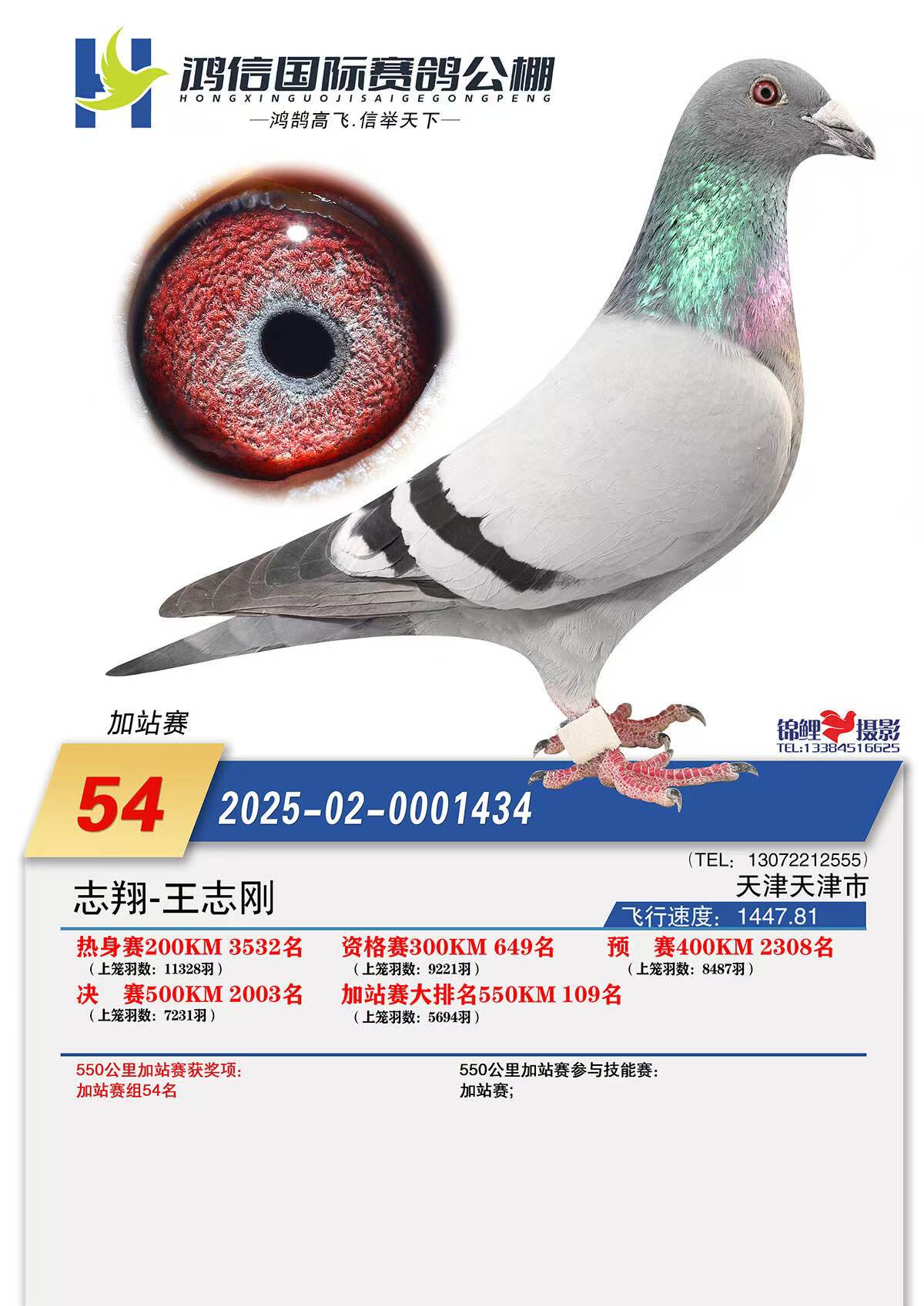 �������ż�ս54��