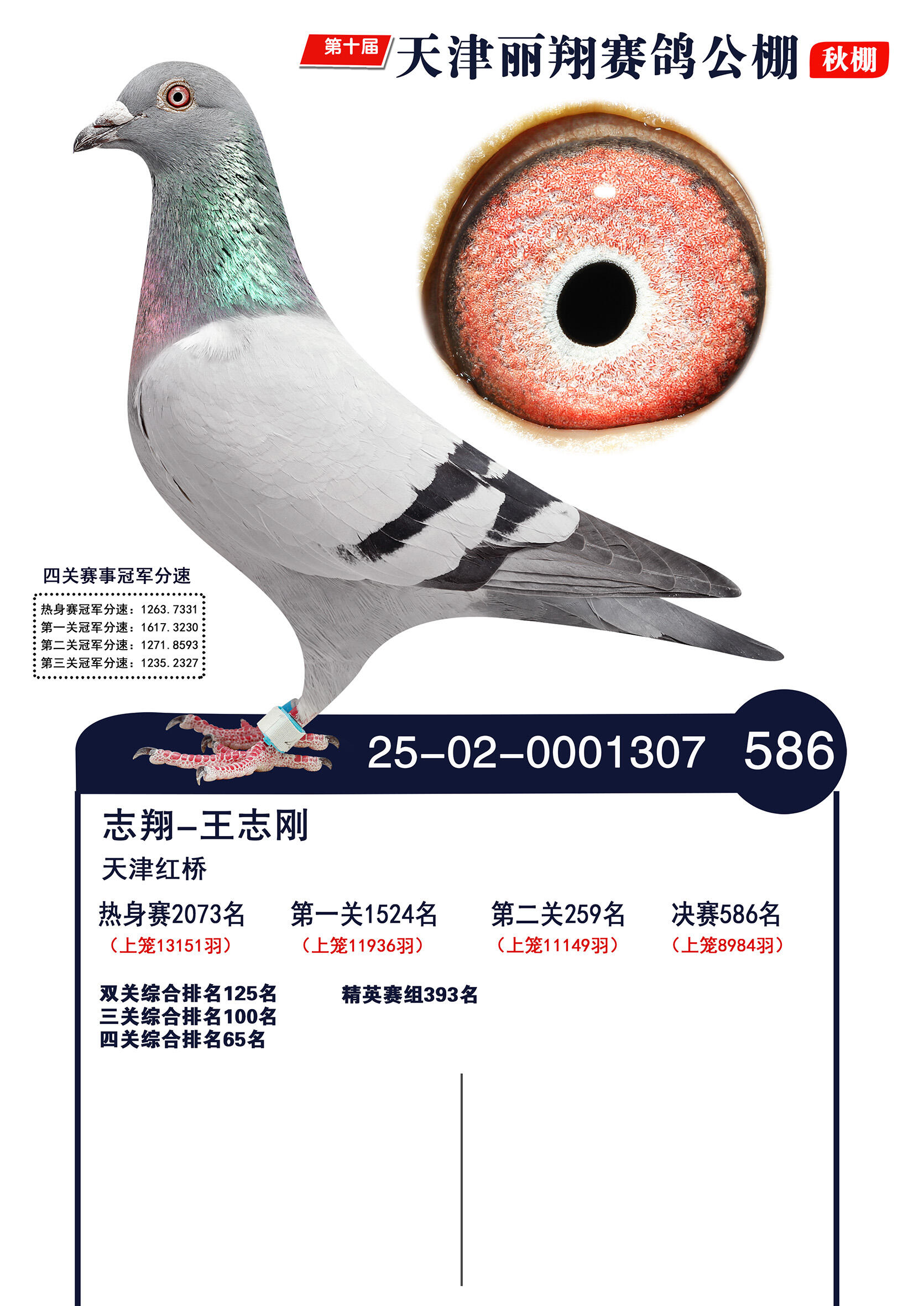 ����������586��