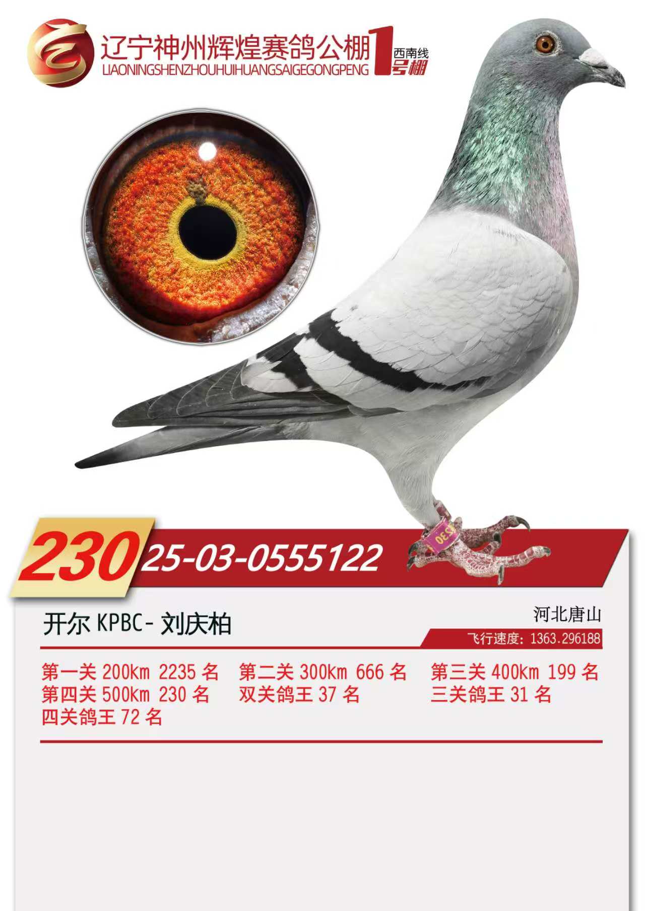 25���������x��1̖(h��o)��Qِ230��