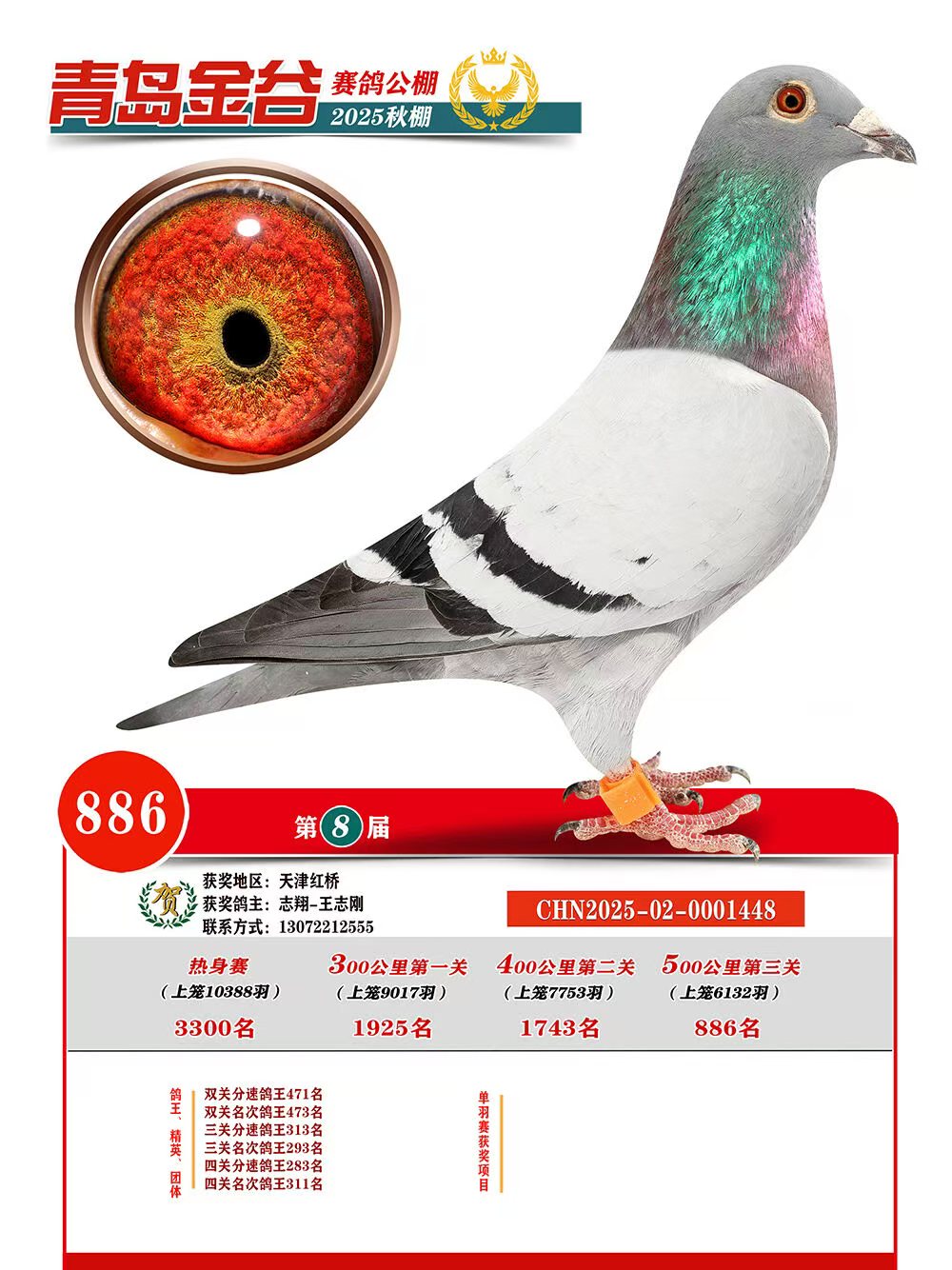 ɽ����Ⱦ���886