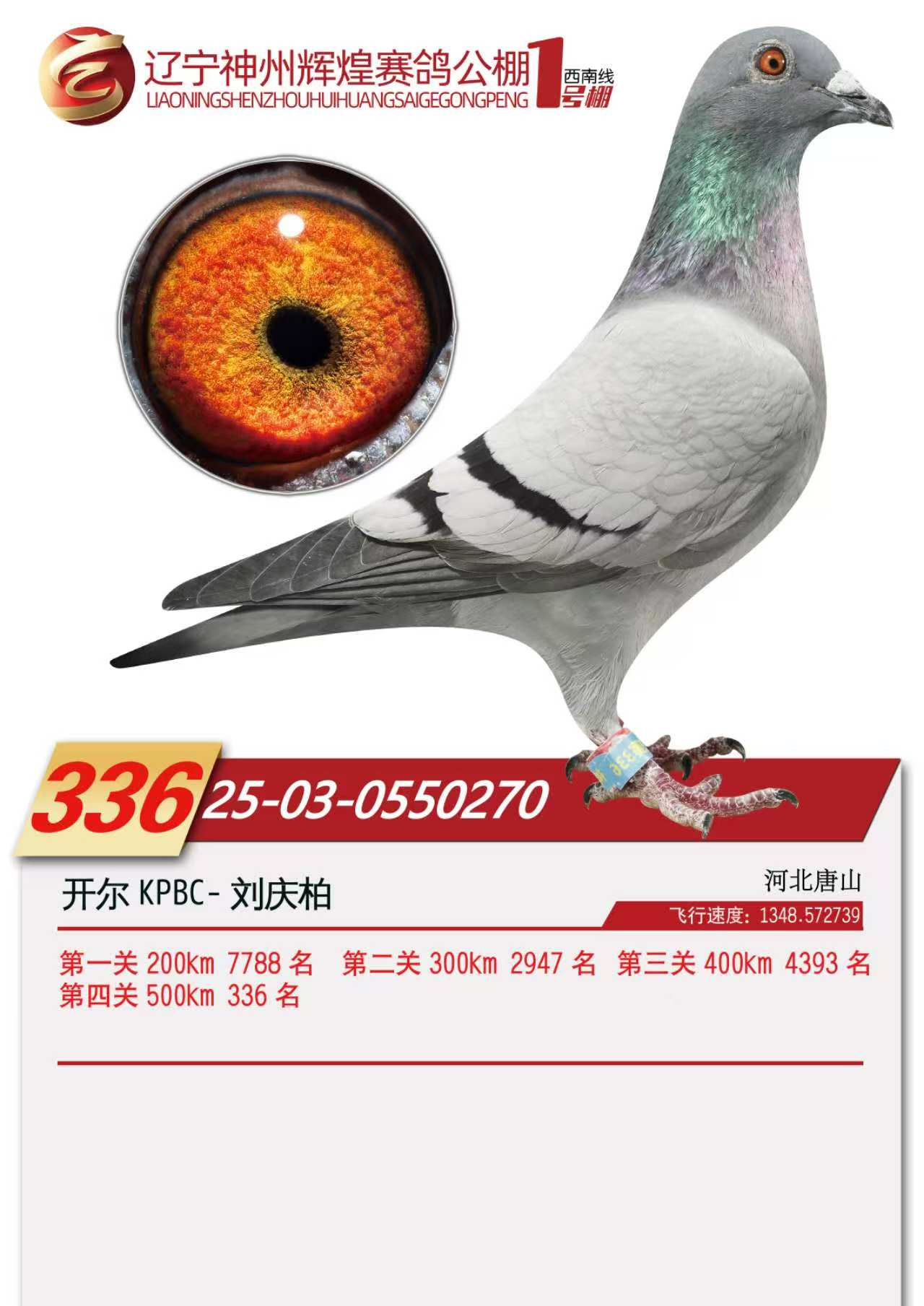 25���������x��1̖��Qِ336��