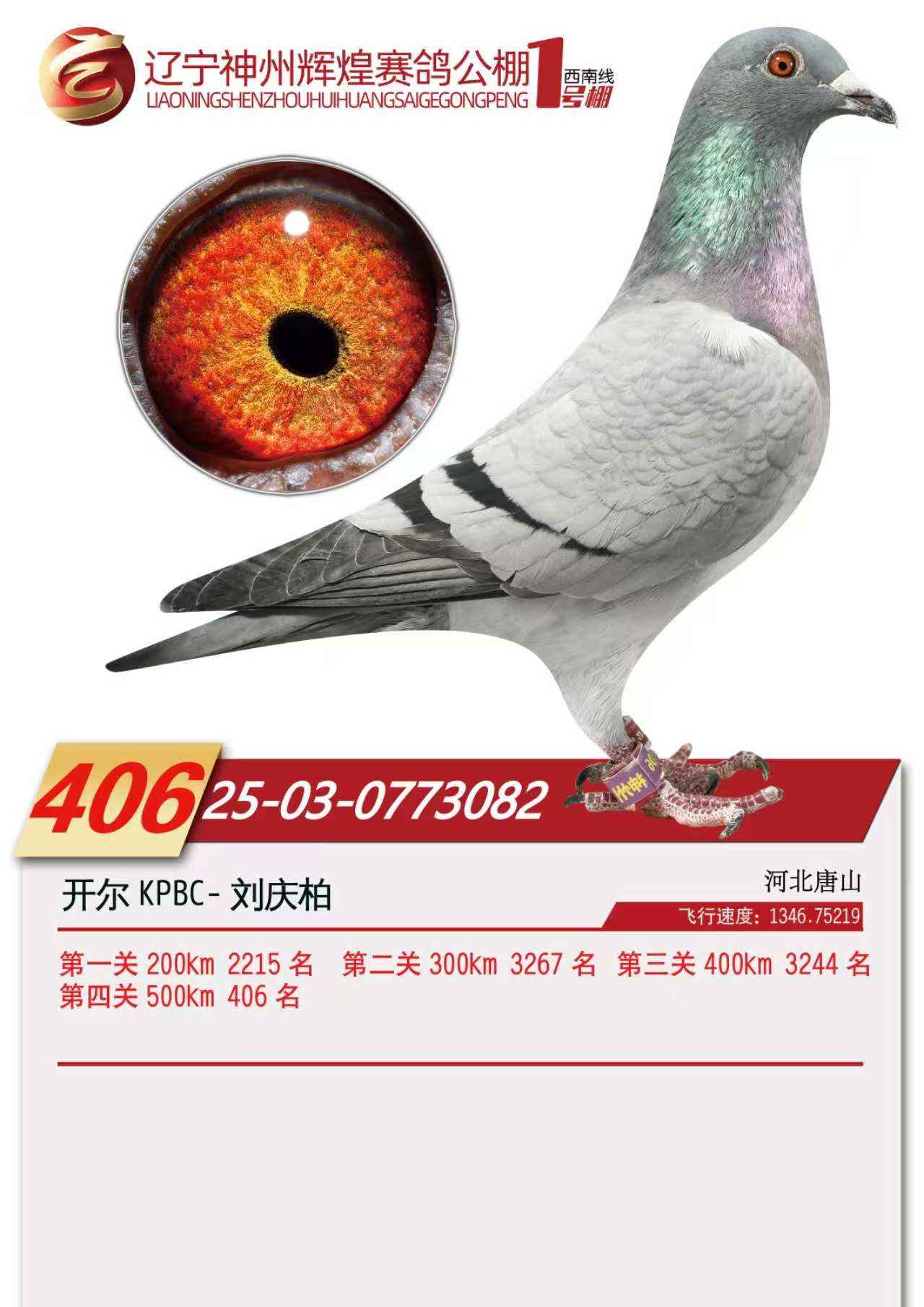 25���������x��1̖(h��o)��Qِ406��