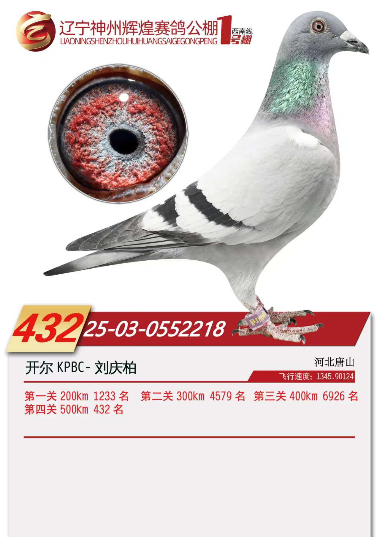 25���������x��1̖�Qِ432��