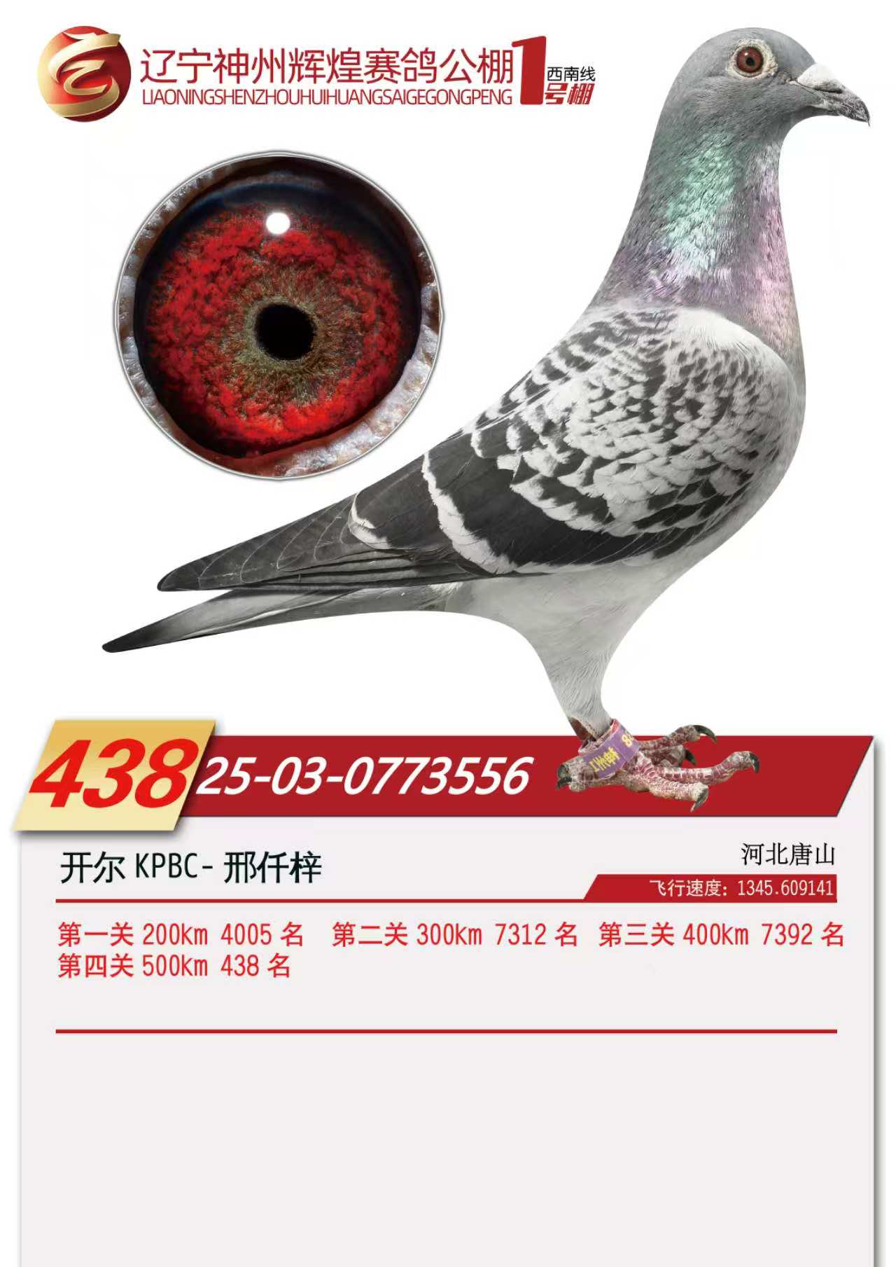 25���������x��1̖(h��o)��Qِ438��