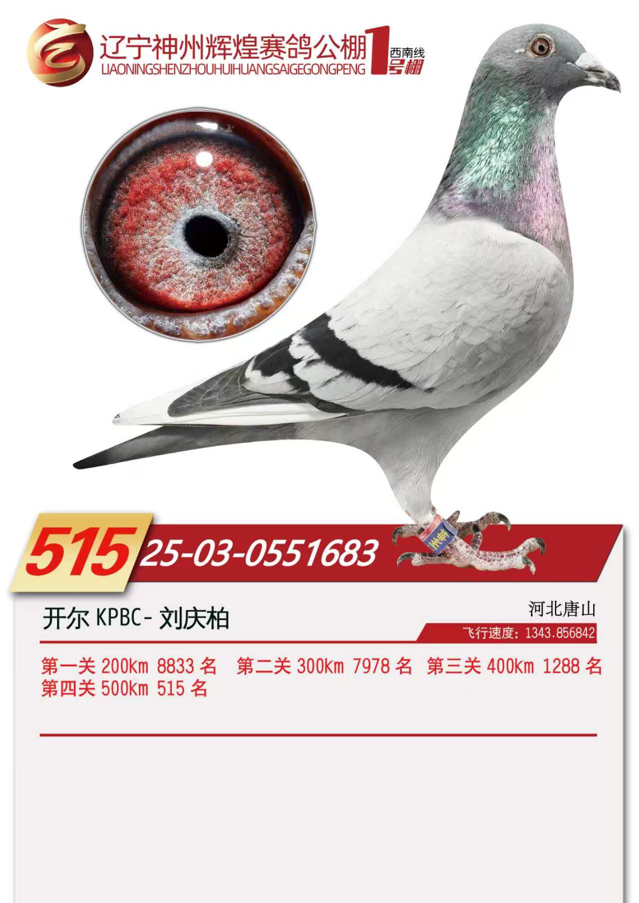 25���������x��1̖��Qِ515��