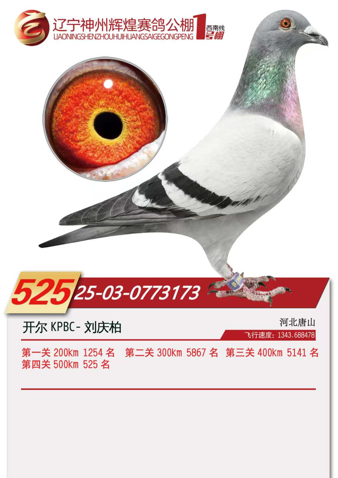 25���������x��1̖(h��o)��Qِ525��