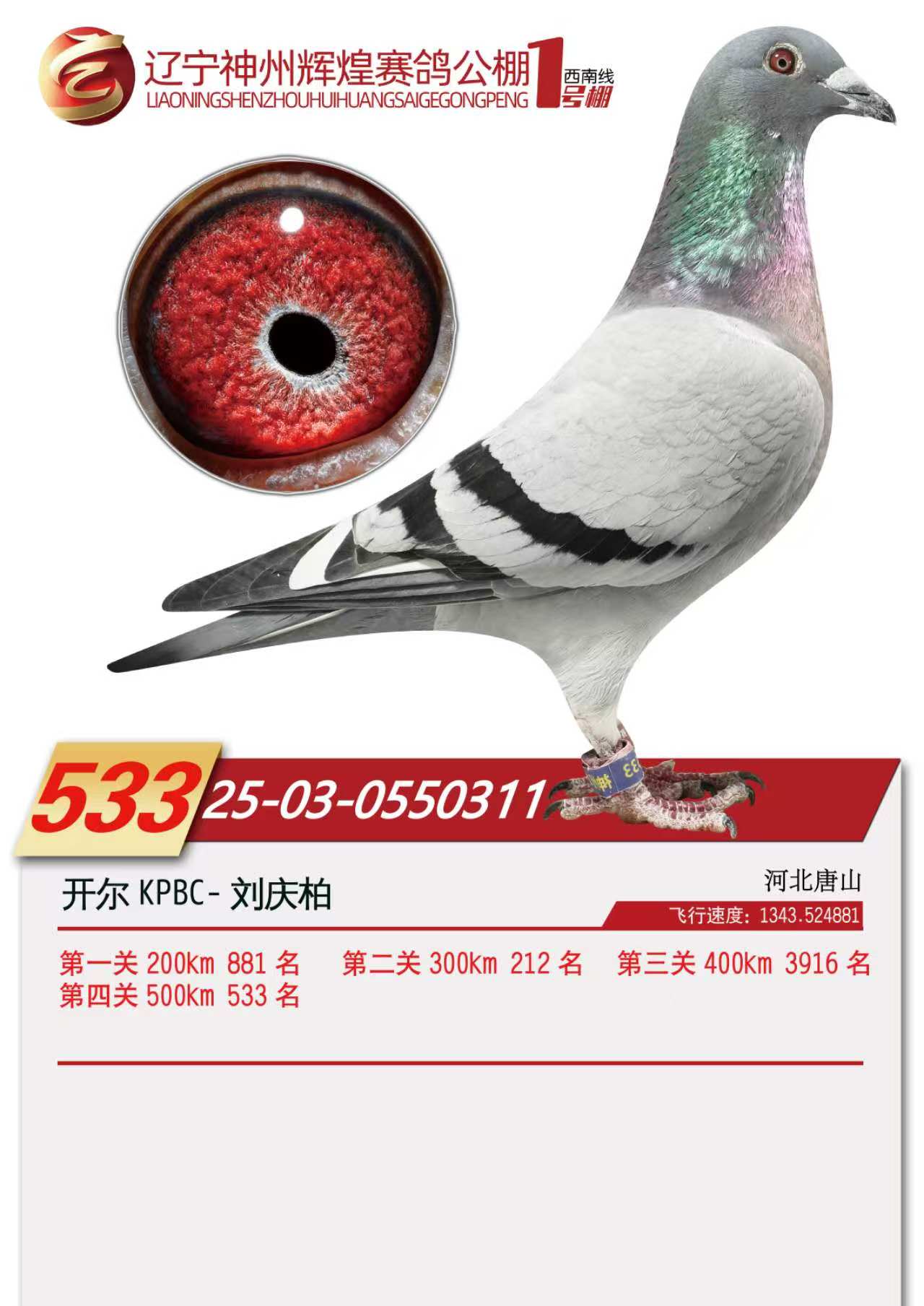 25���������x��1̖(h��o)��Qِ533��