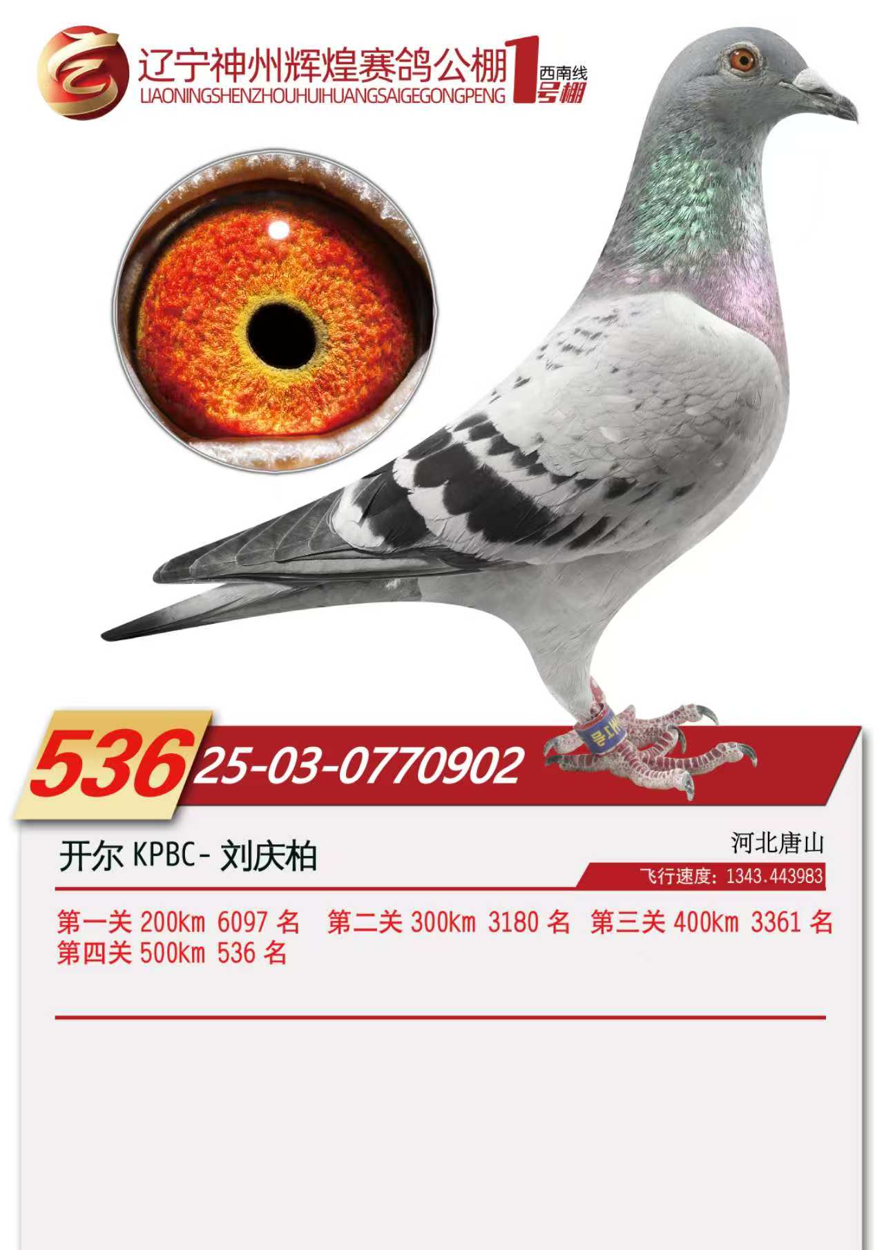 25���������x��1̖�Qِ536��